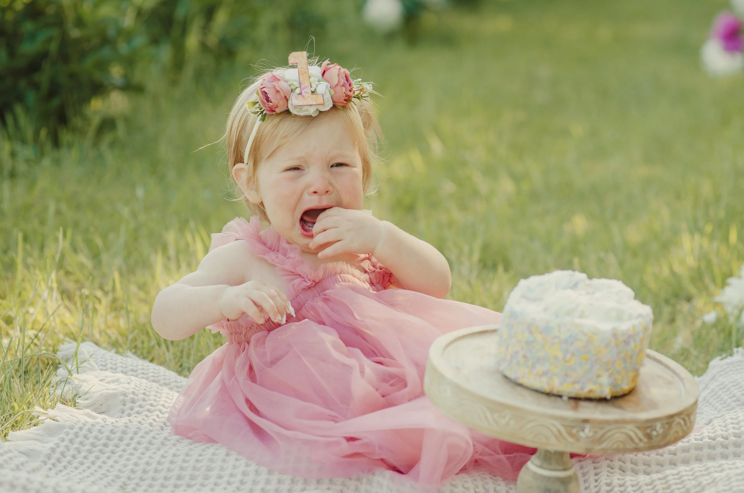 Outdoor milestone session in Knoxville with true to color photography and soft tones