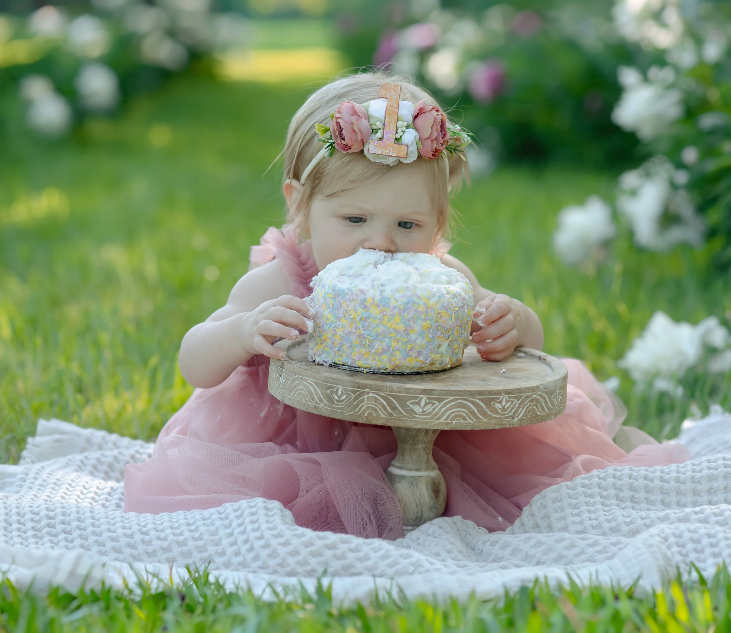 Knoxville cakesmash photographer1.jpg