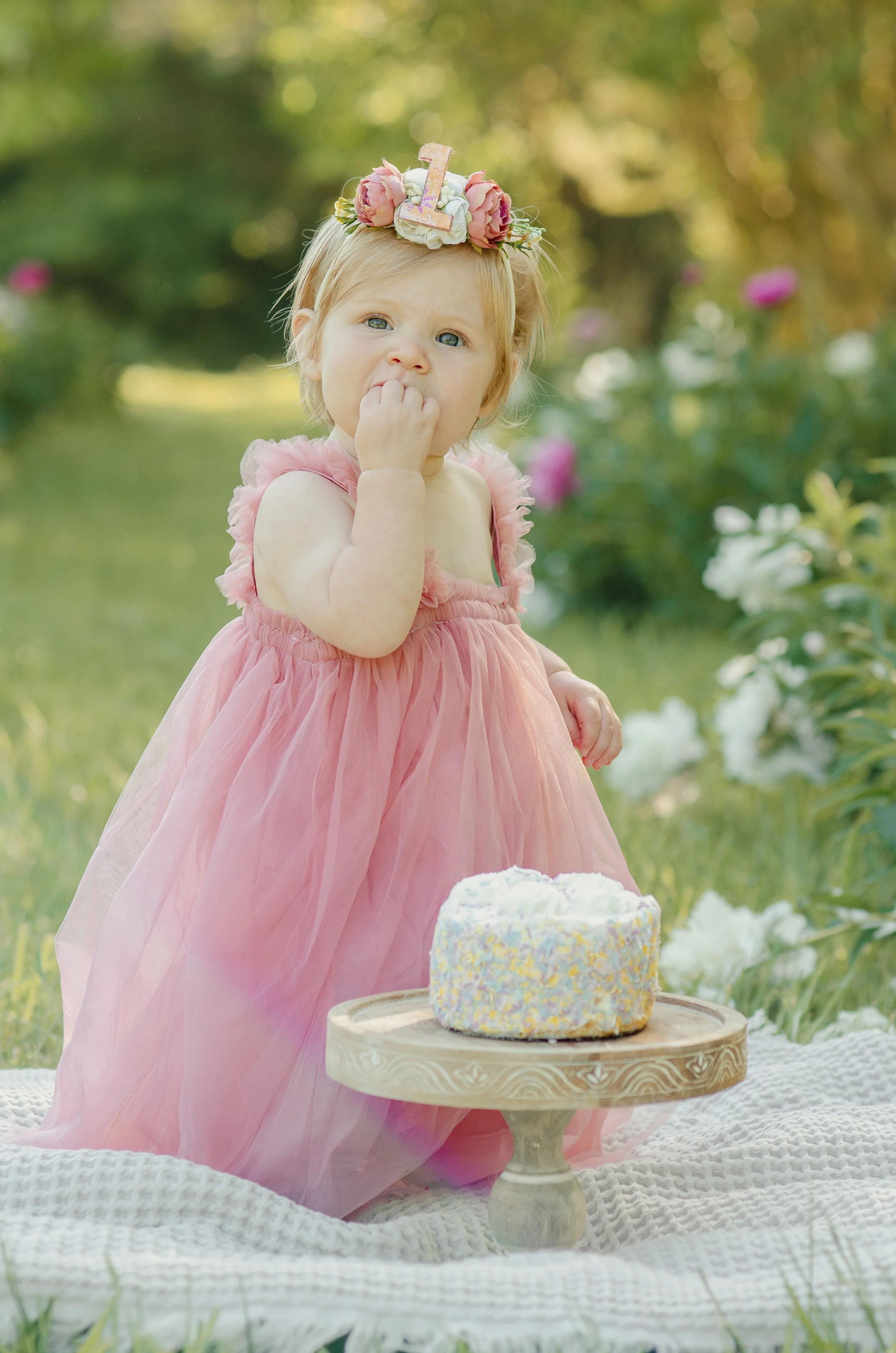 First birthday photoshoot in Knoxville with true to color editing and simple setup