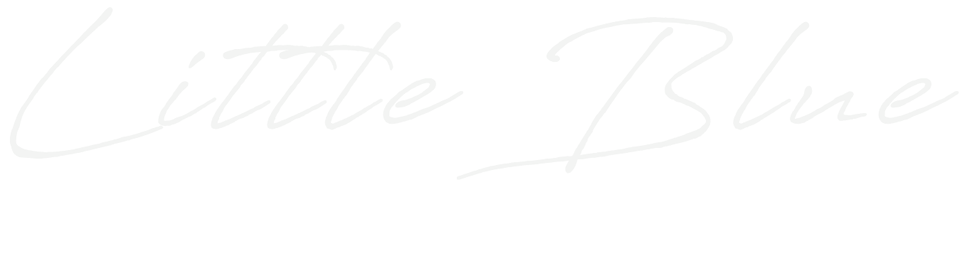 Text reading 'Little Blue, Jensen Beach, Florida' in white on a black background.