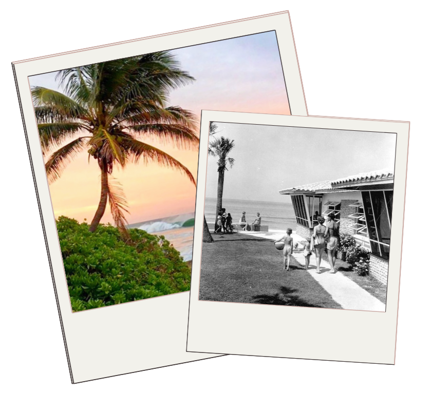 Color photo of a tropical scene with a palm tree, green shrubbery, and a sunset sky in the background. Black-and-white photo of a beachside scene with several people, palm trees, and a modern building near the ocean.