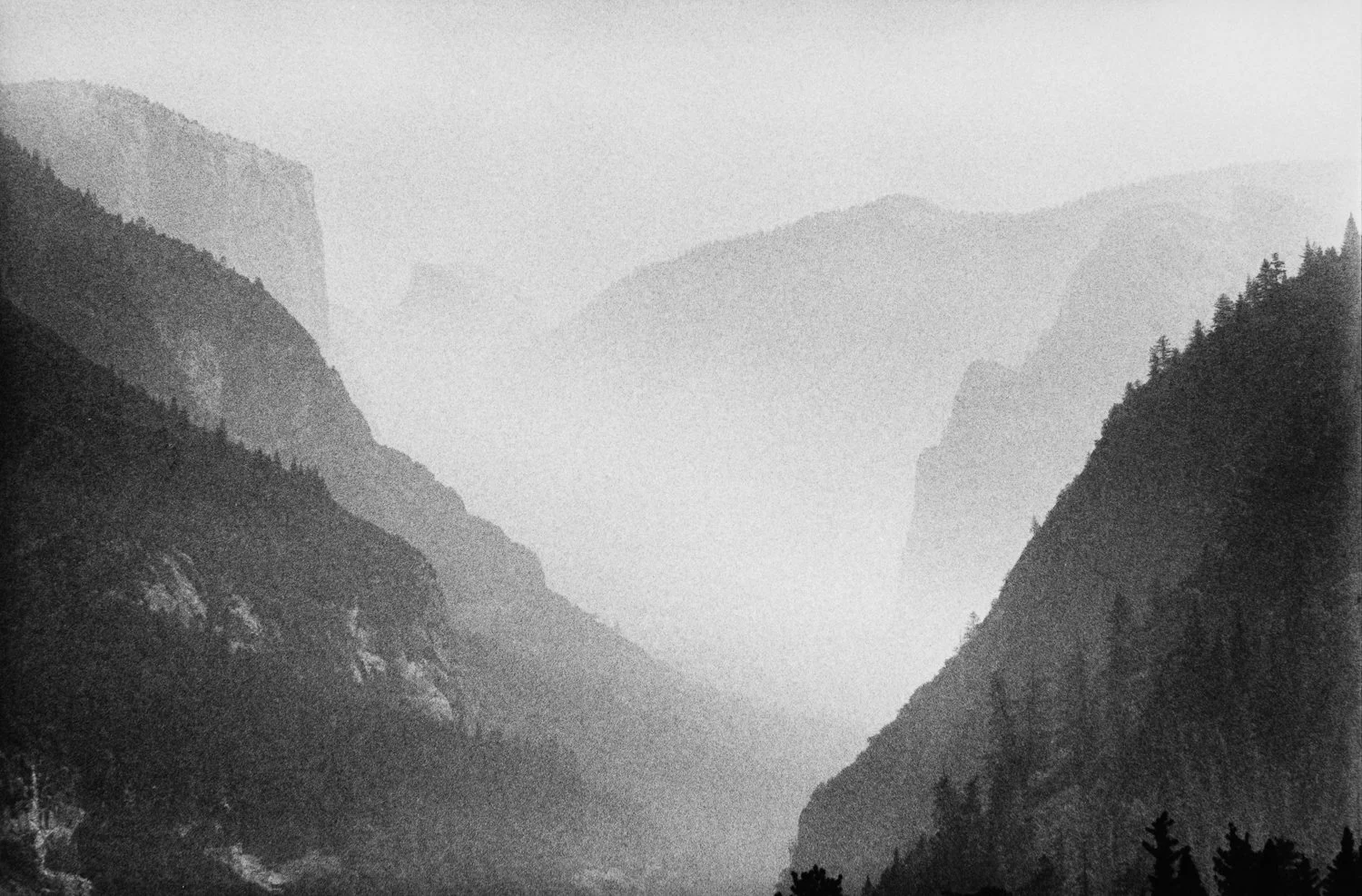 MORNING LIGHT | 2001