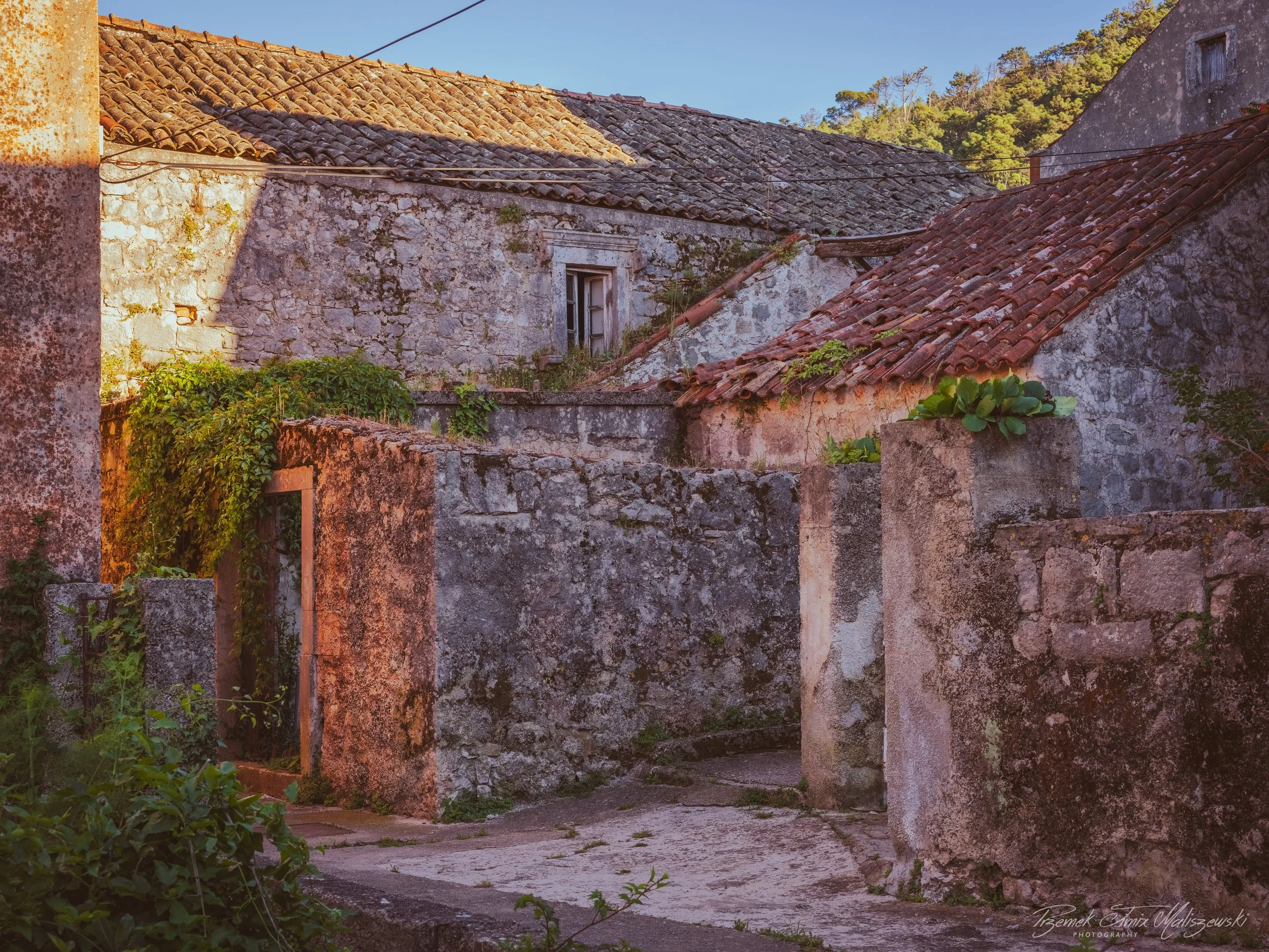 _JMX1851.jpg