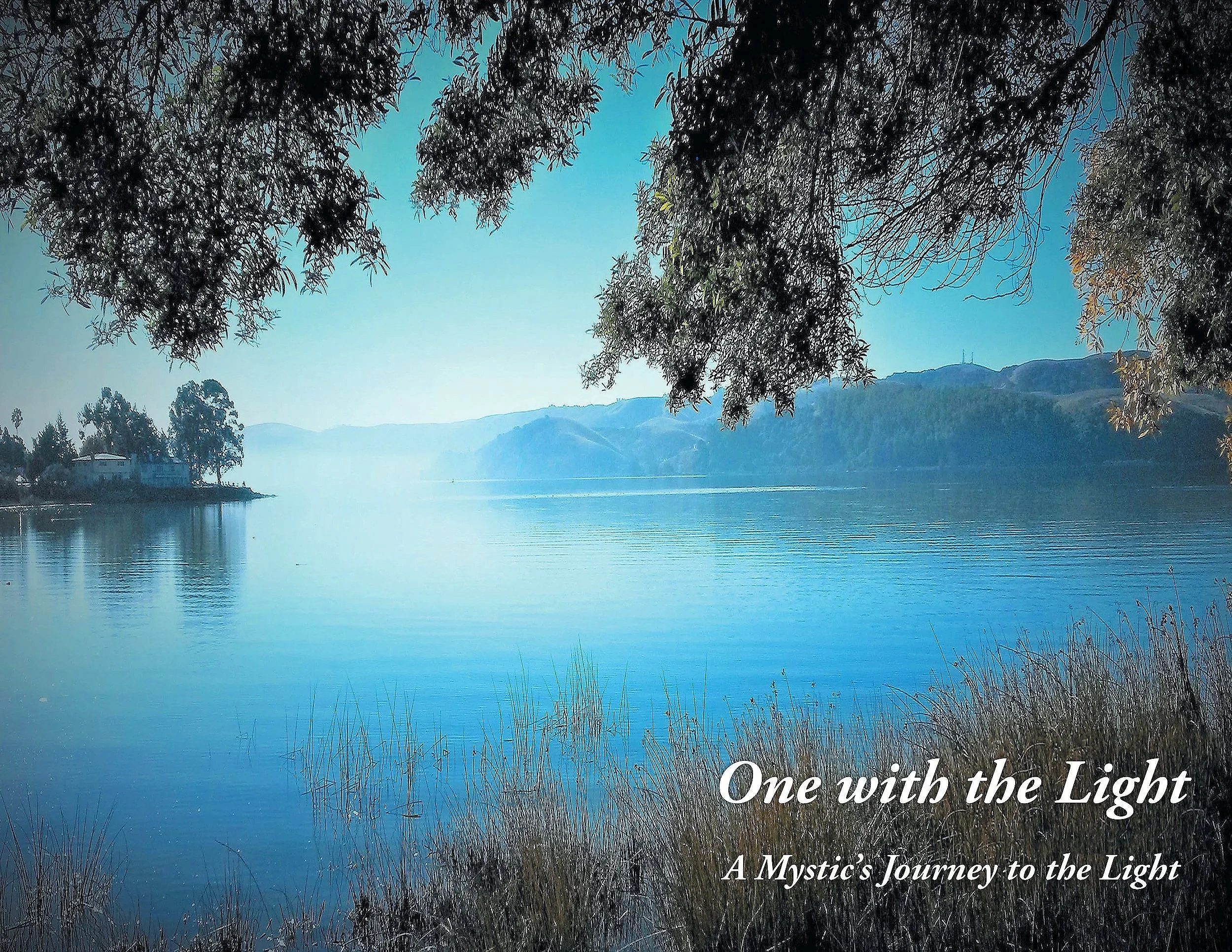 one+with+light_frontcover+%281%29.jpg