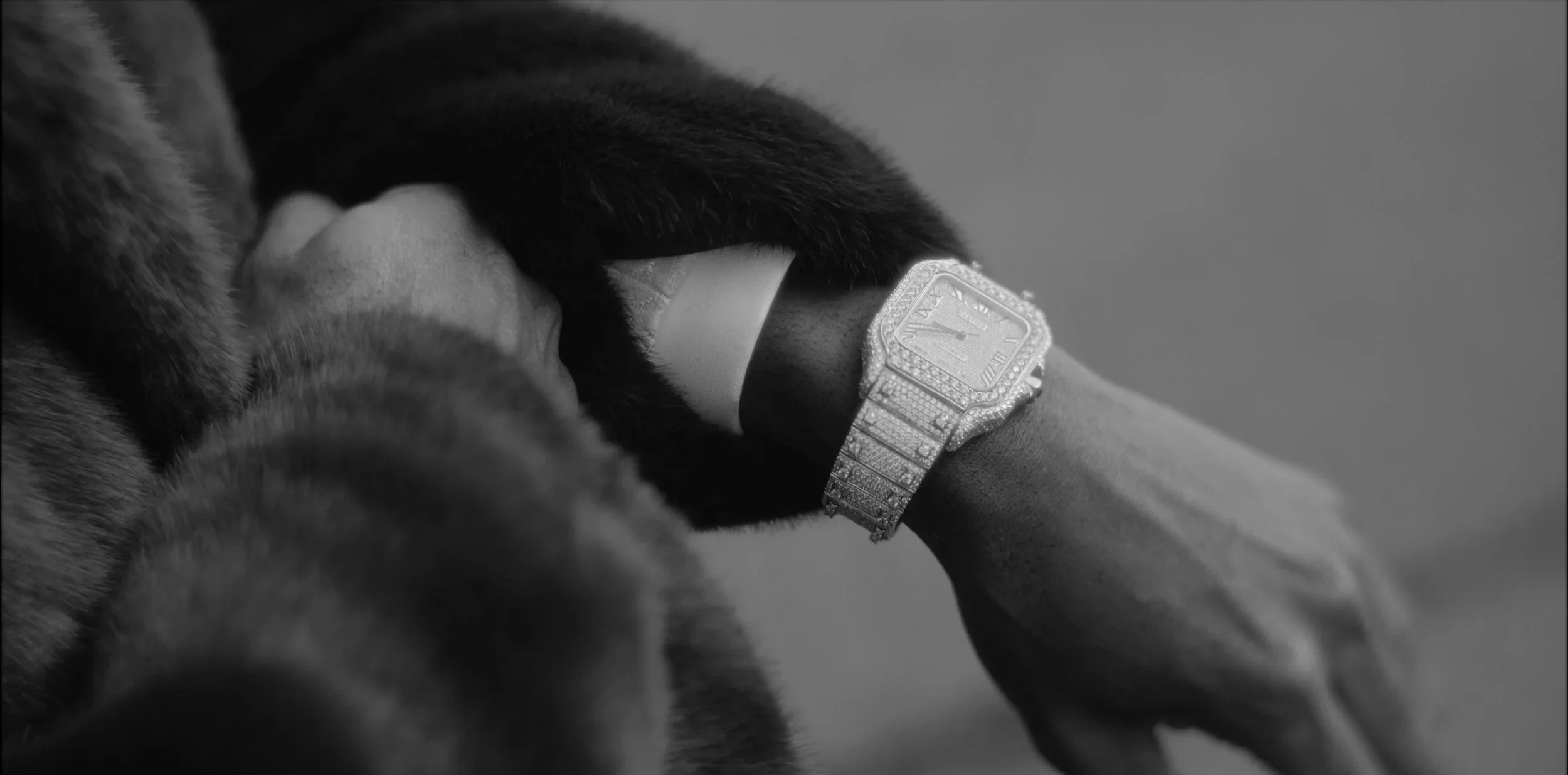 Close-up of a person's wrist wearing a diamond-studded watch, resting on a surface with part of a dog nearby.