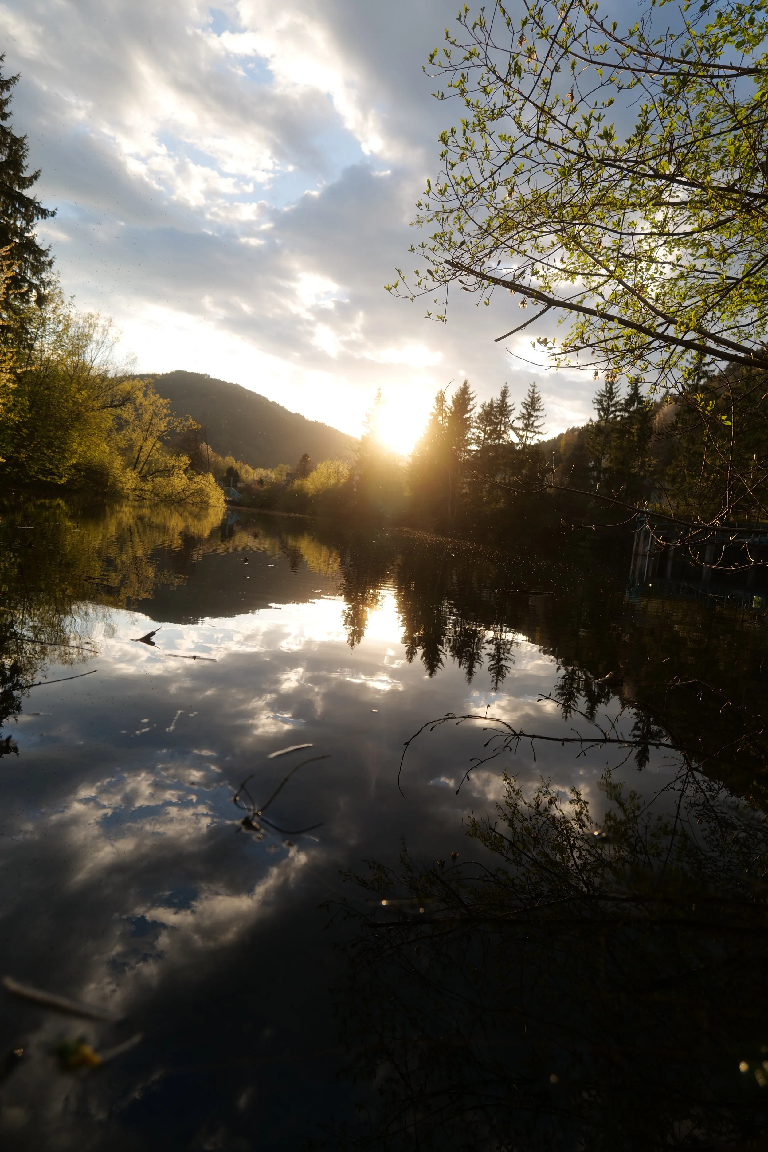 Ein Fluss inmitten eines Waldes bei Sonnenuntergang, mit spiegelndem Wasser und bewölktem Himmel.