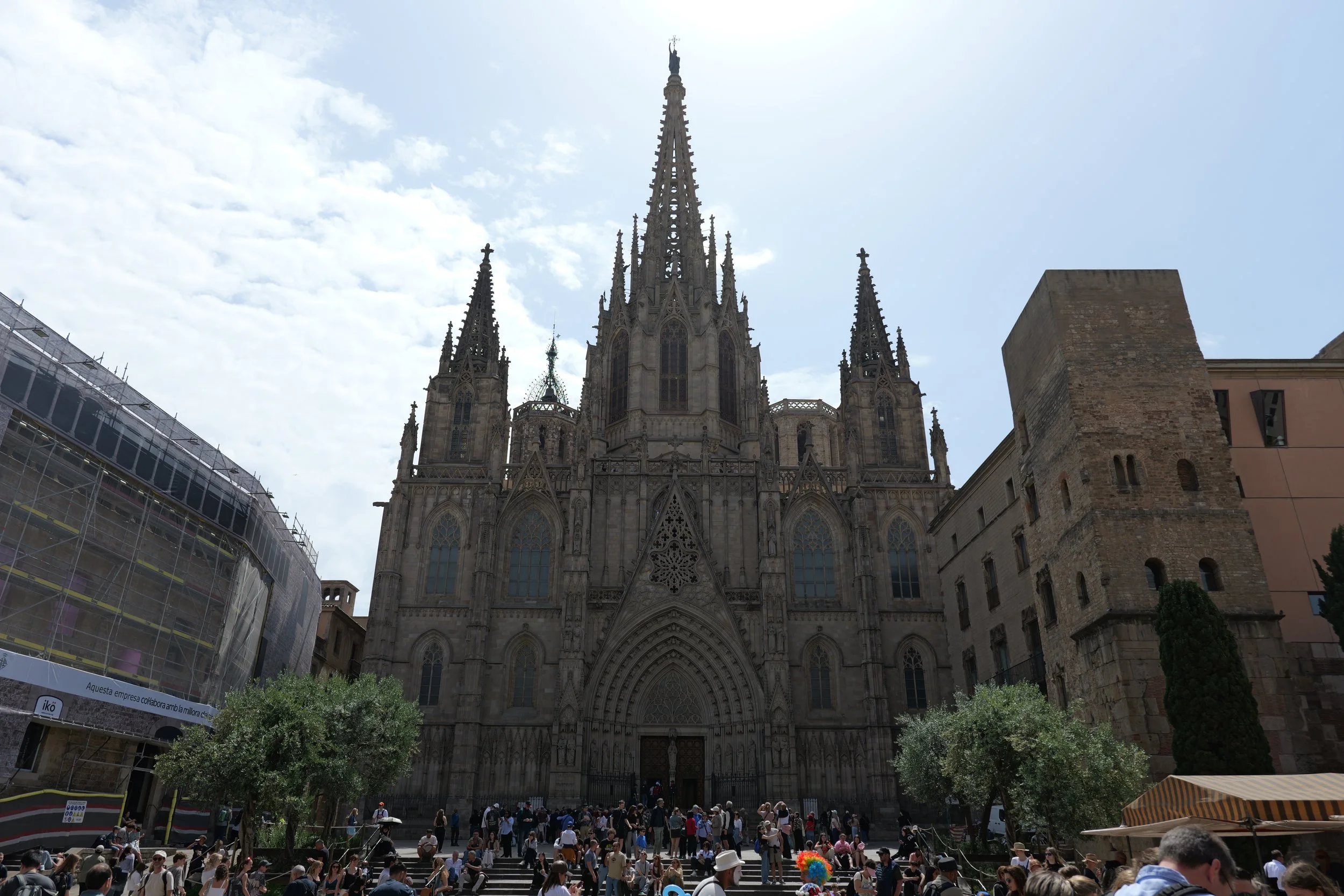 P1097975.JPG