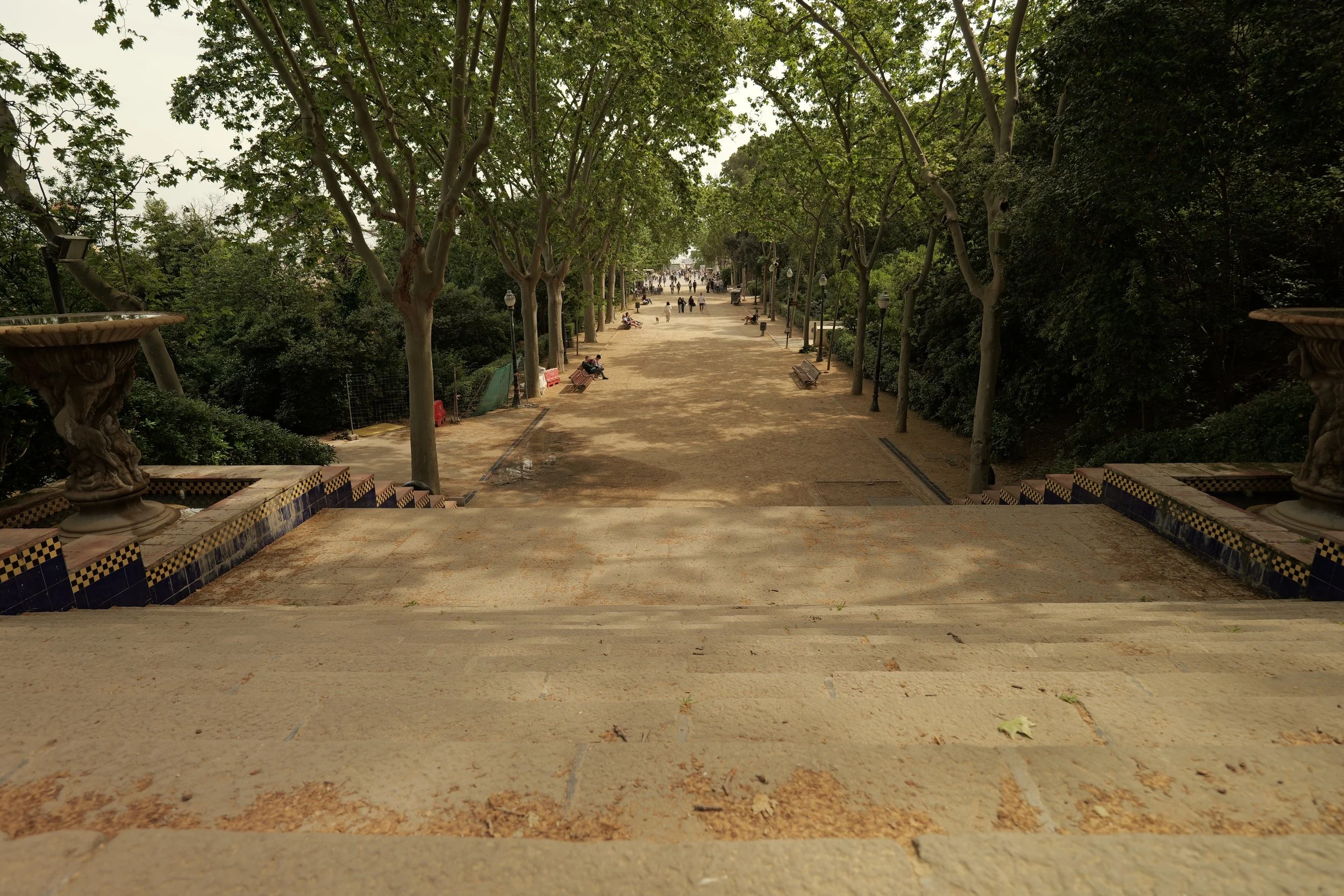 P1098159.JPG