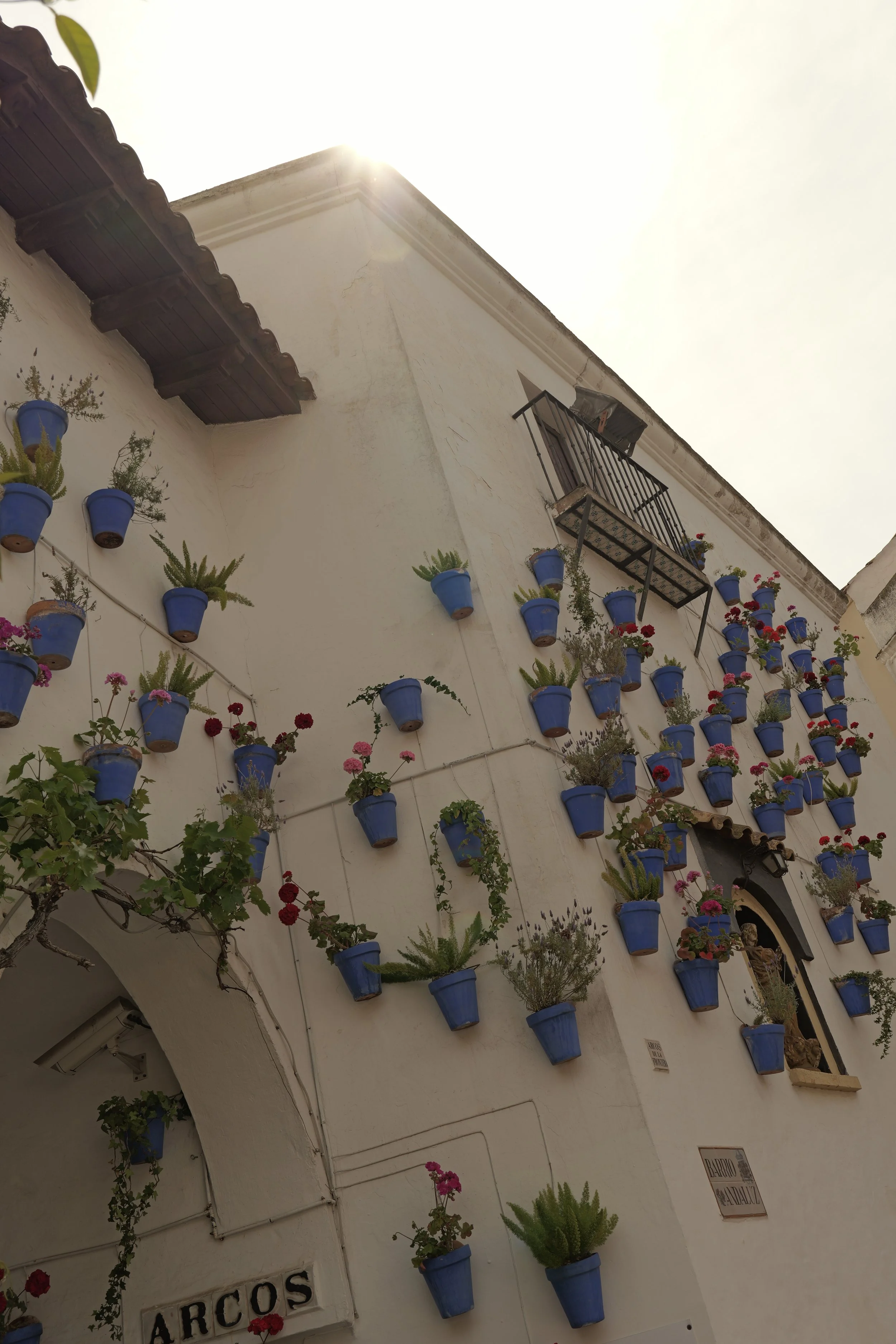 P1098177.JPG