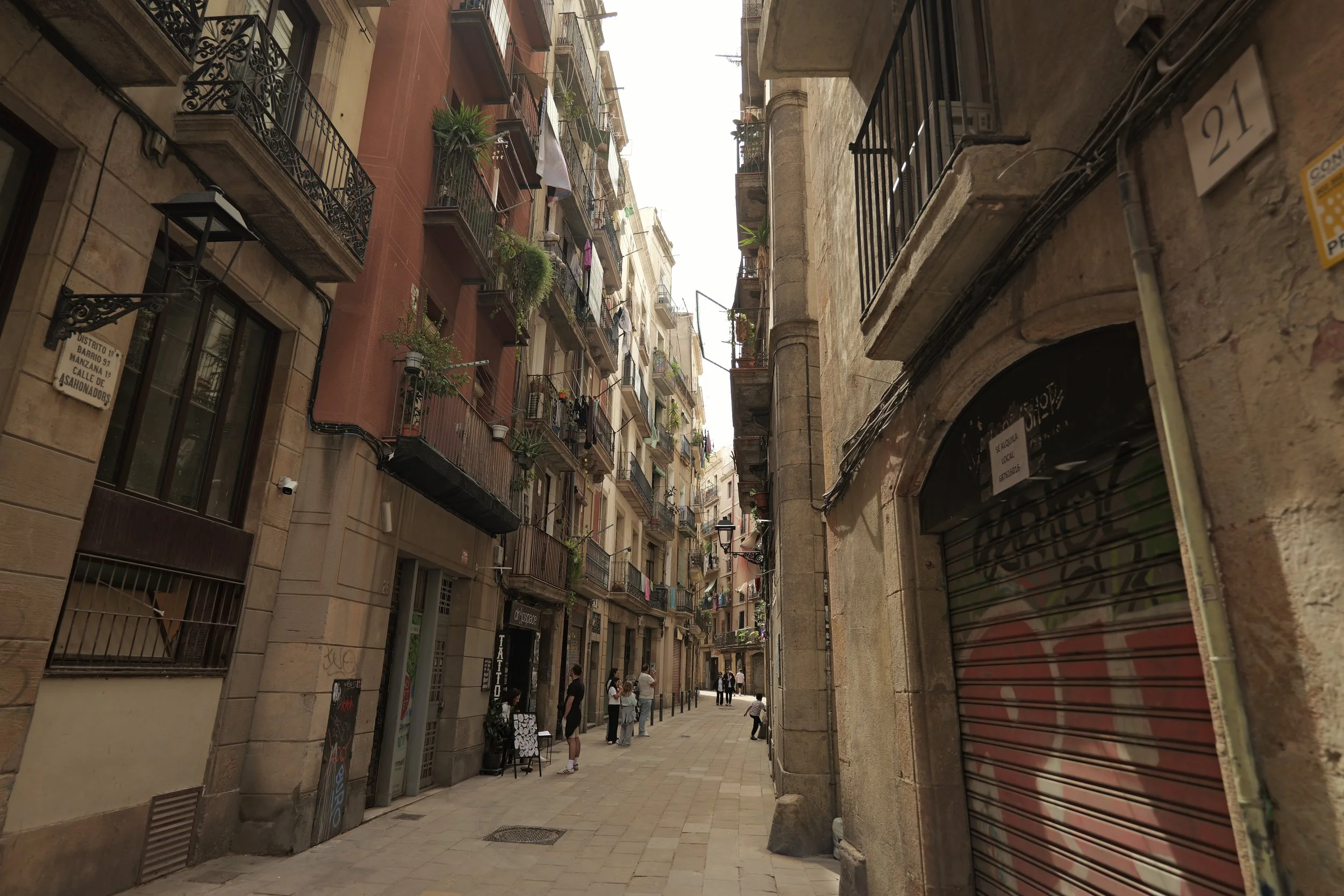 P1098230.JPG
