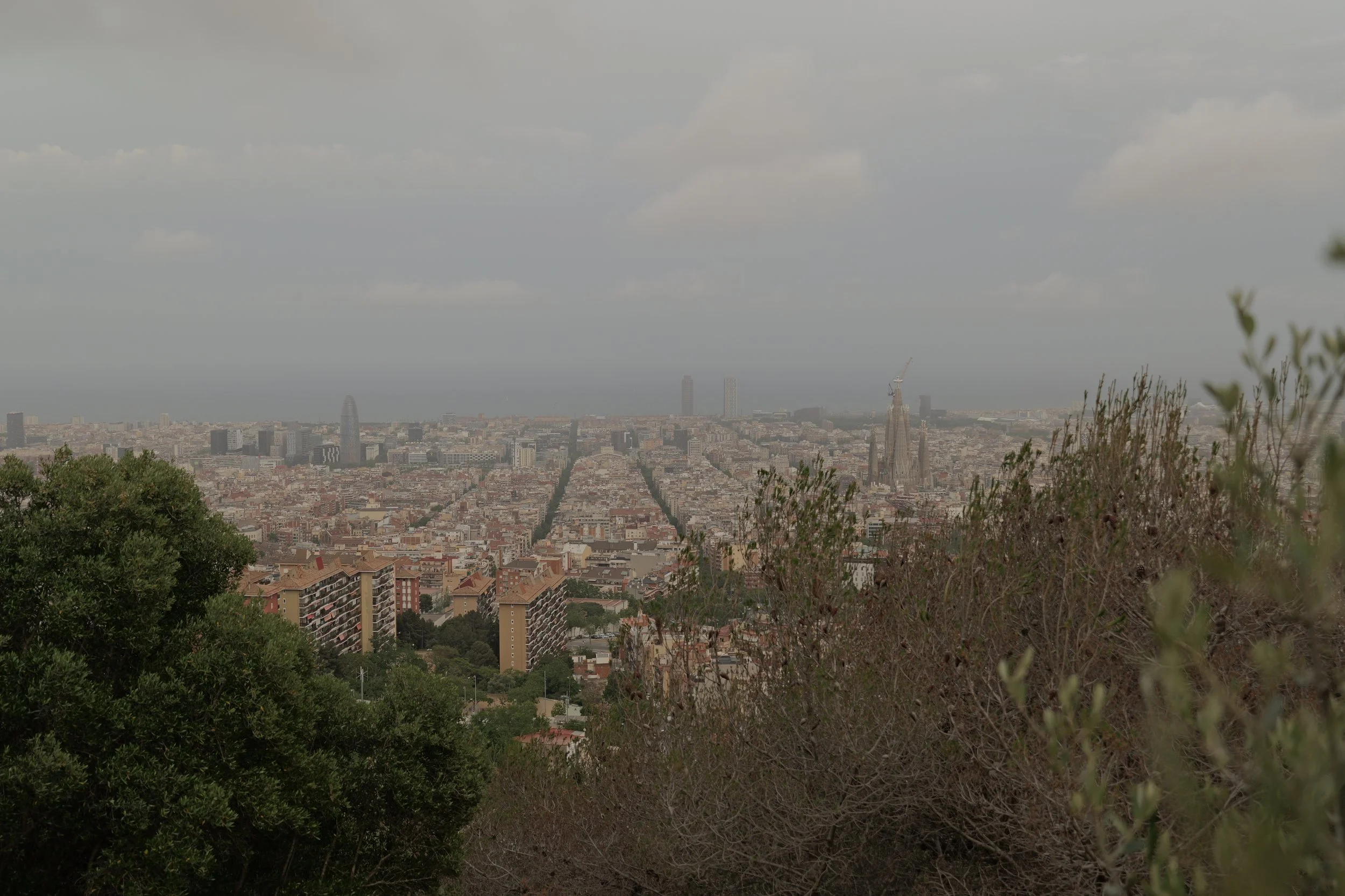 P1098236.JPG