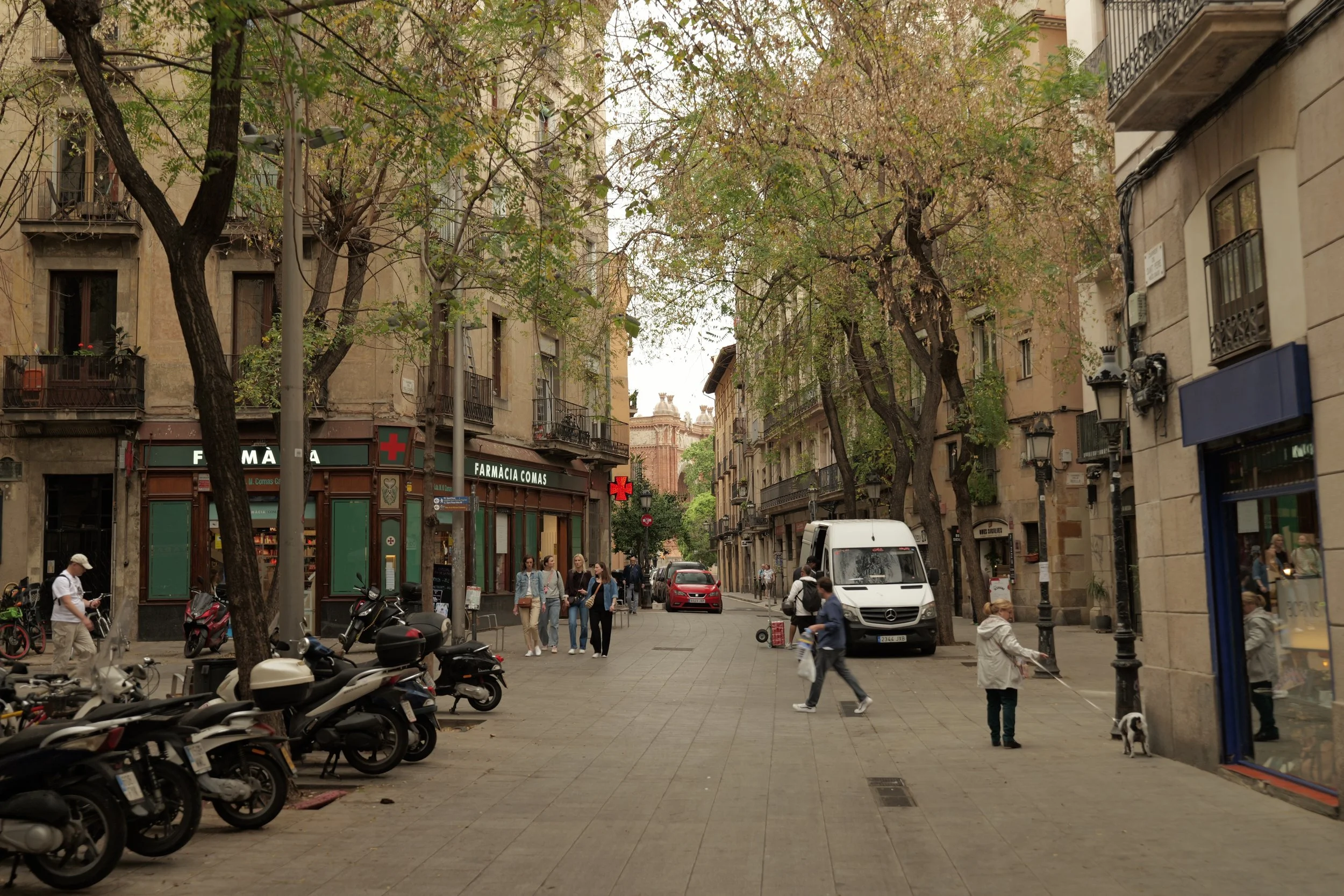 P1098292.JPG