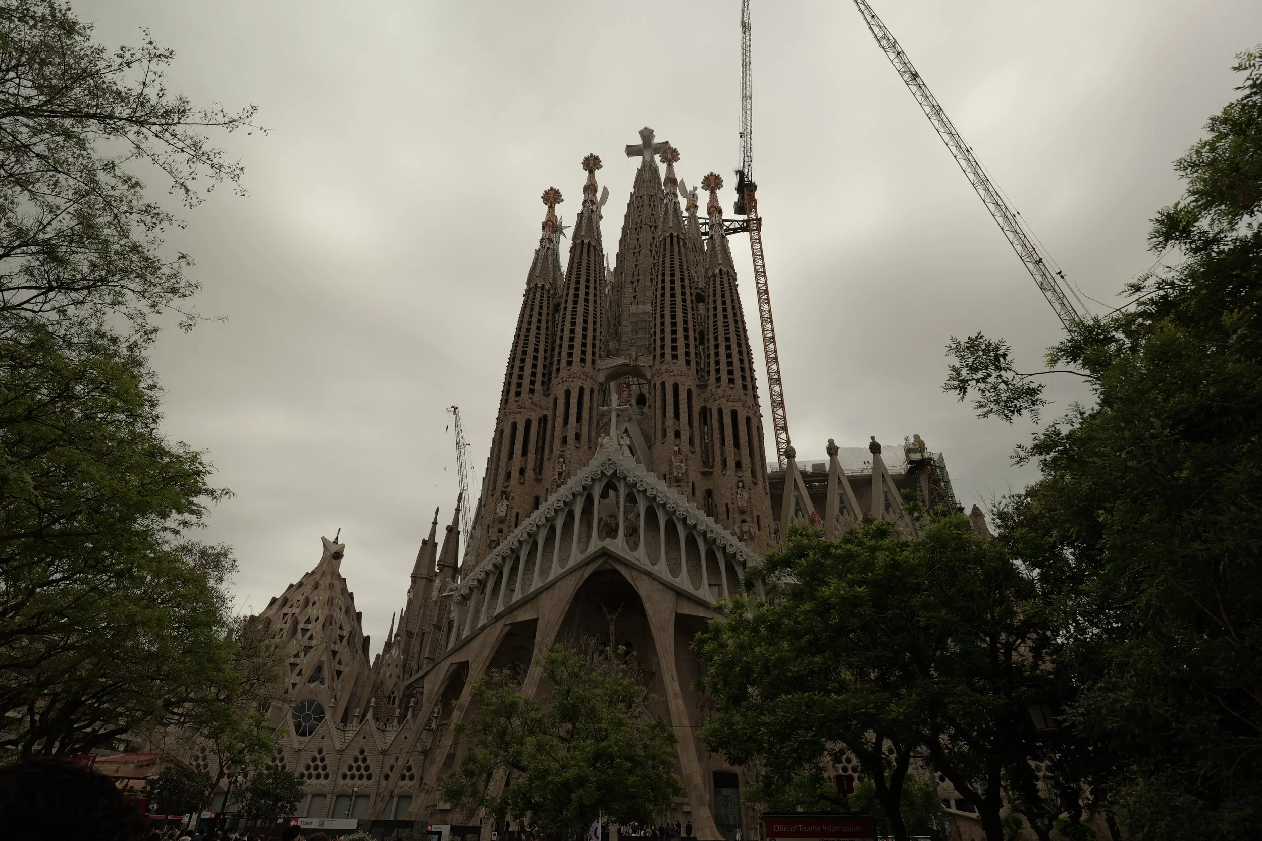 P1098300.JPG