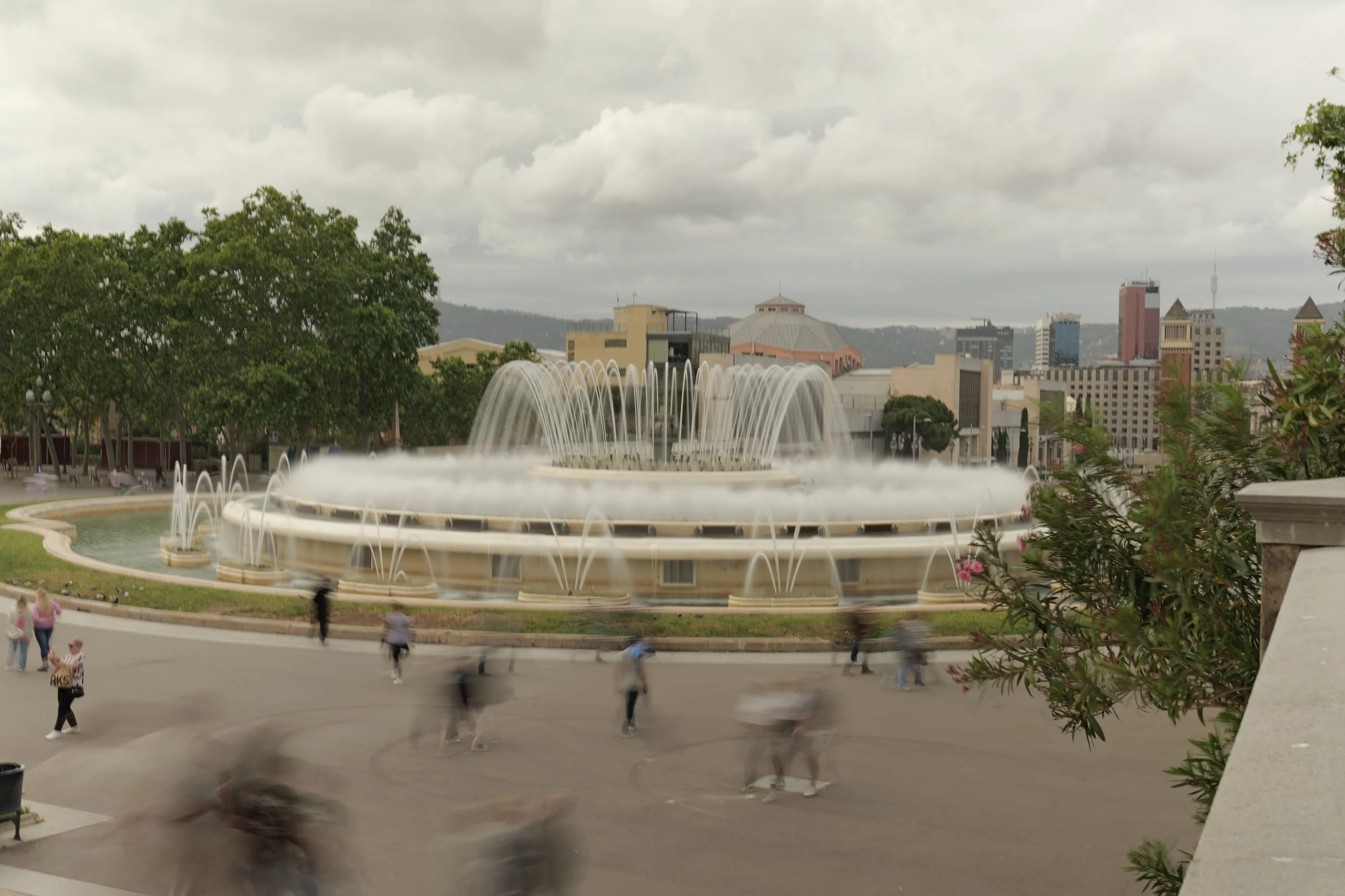 P1098590.JPG