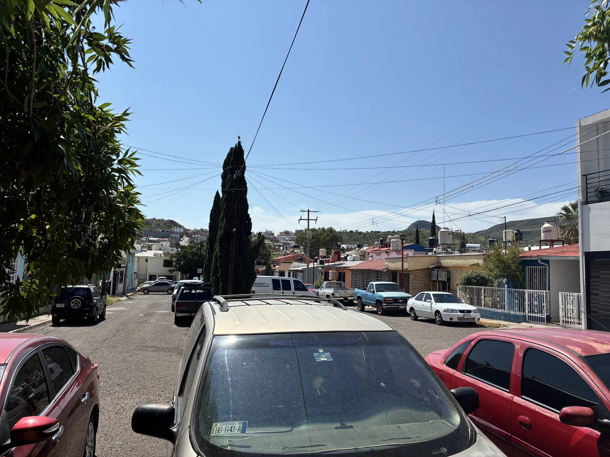IMG_2477.jpeg