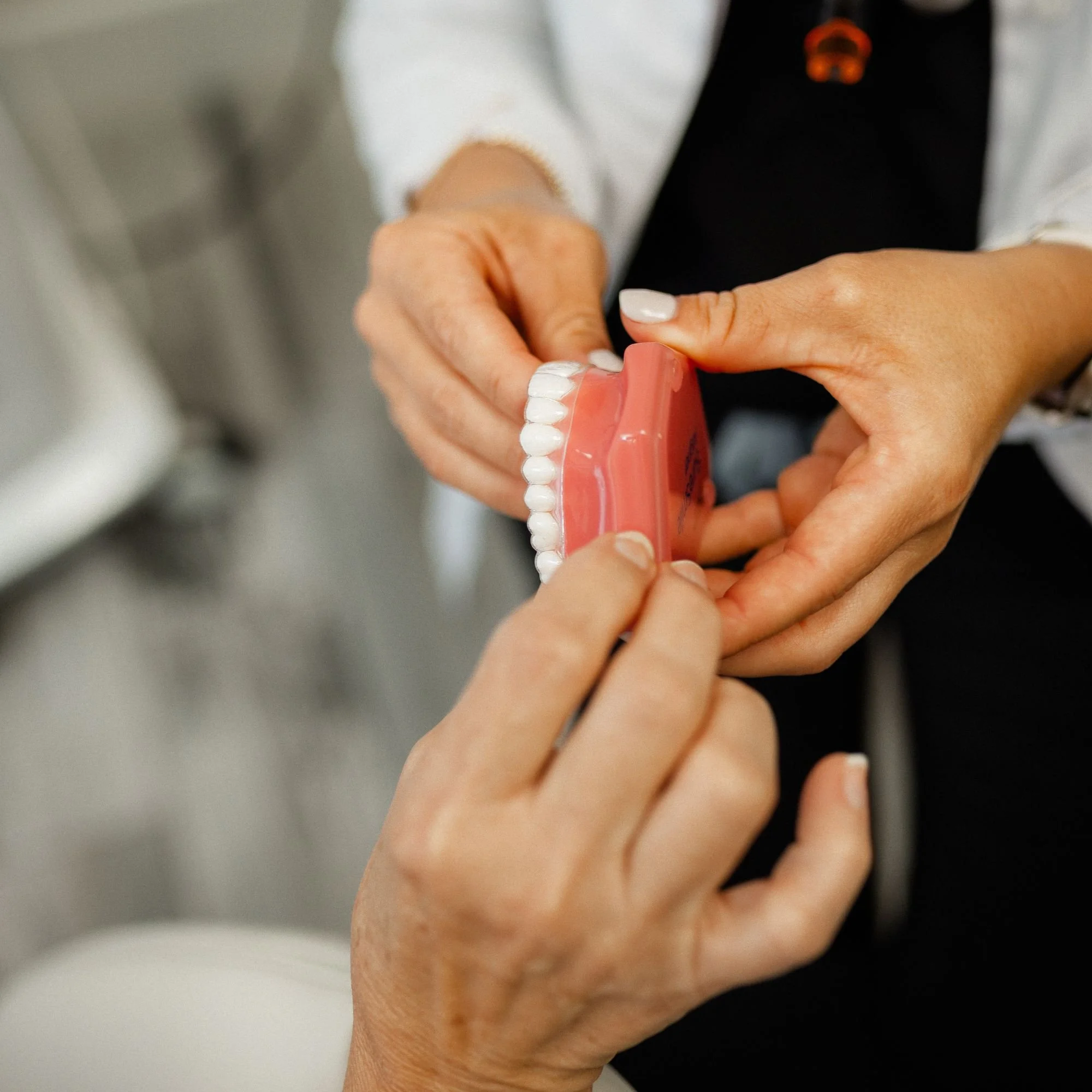 Close-up of a person's hand holding a model of a human jaw with teeth, showing the jaw's interior.