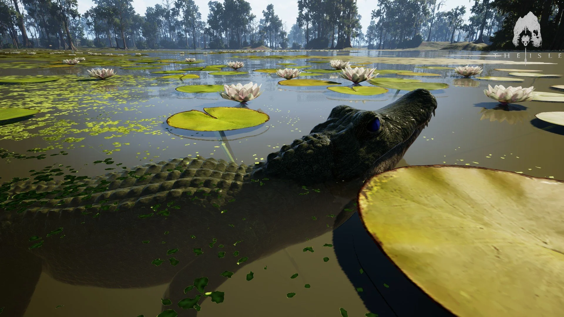 Heatmap (Player Hotspots)