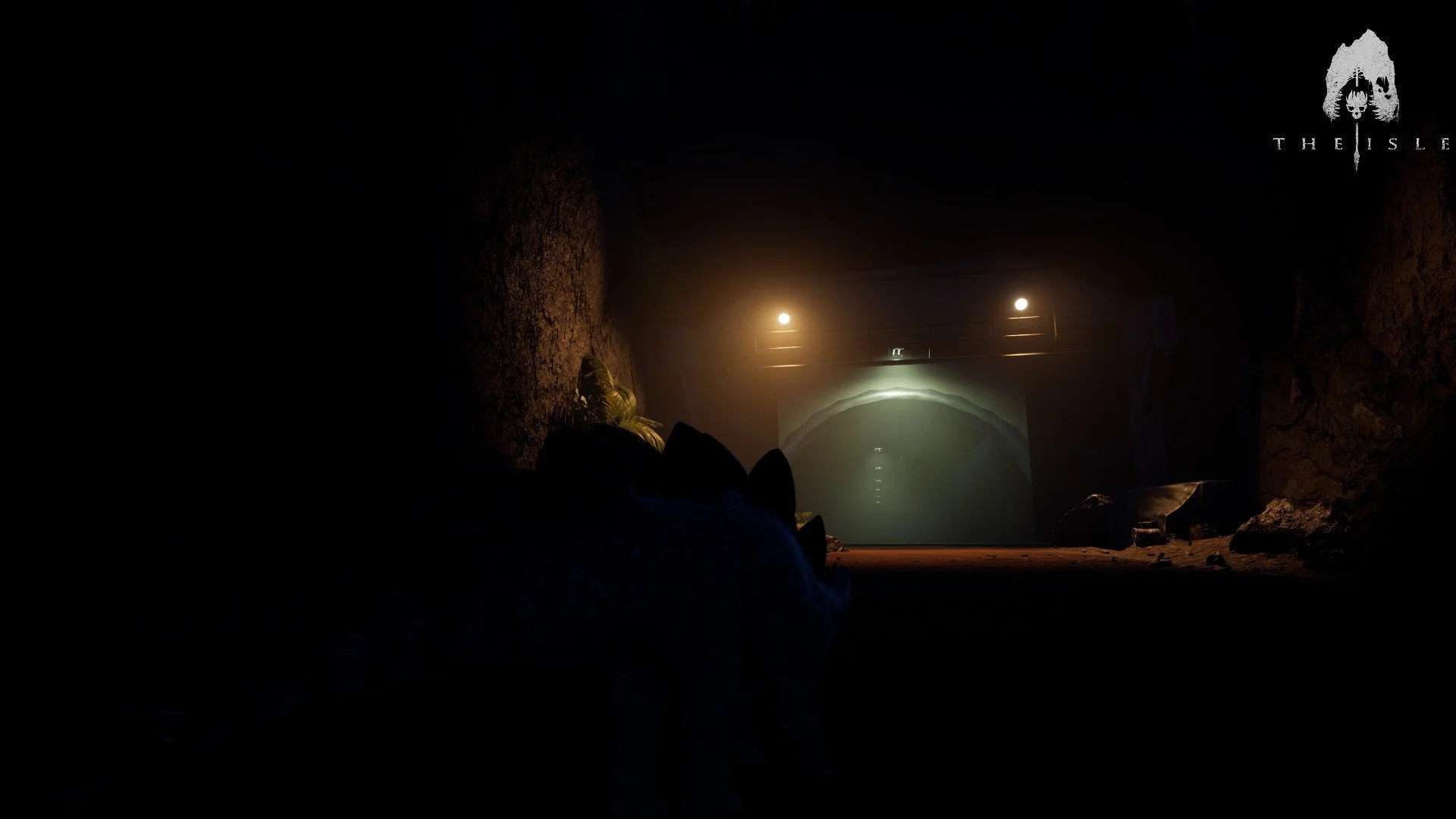 Un accompagnement personnalisé pour les nouveaux joueurs