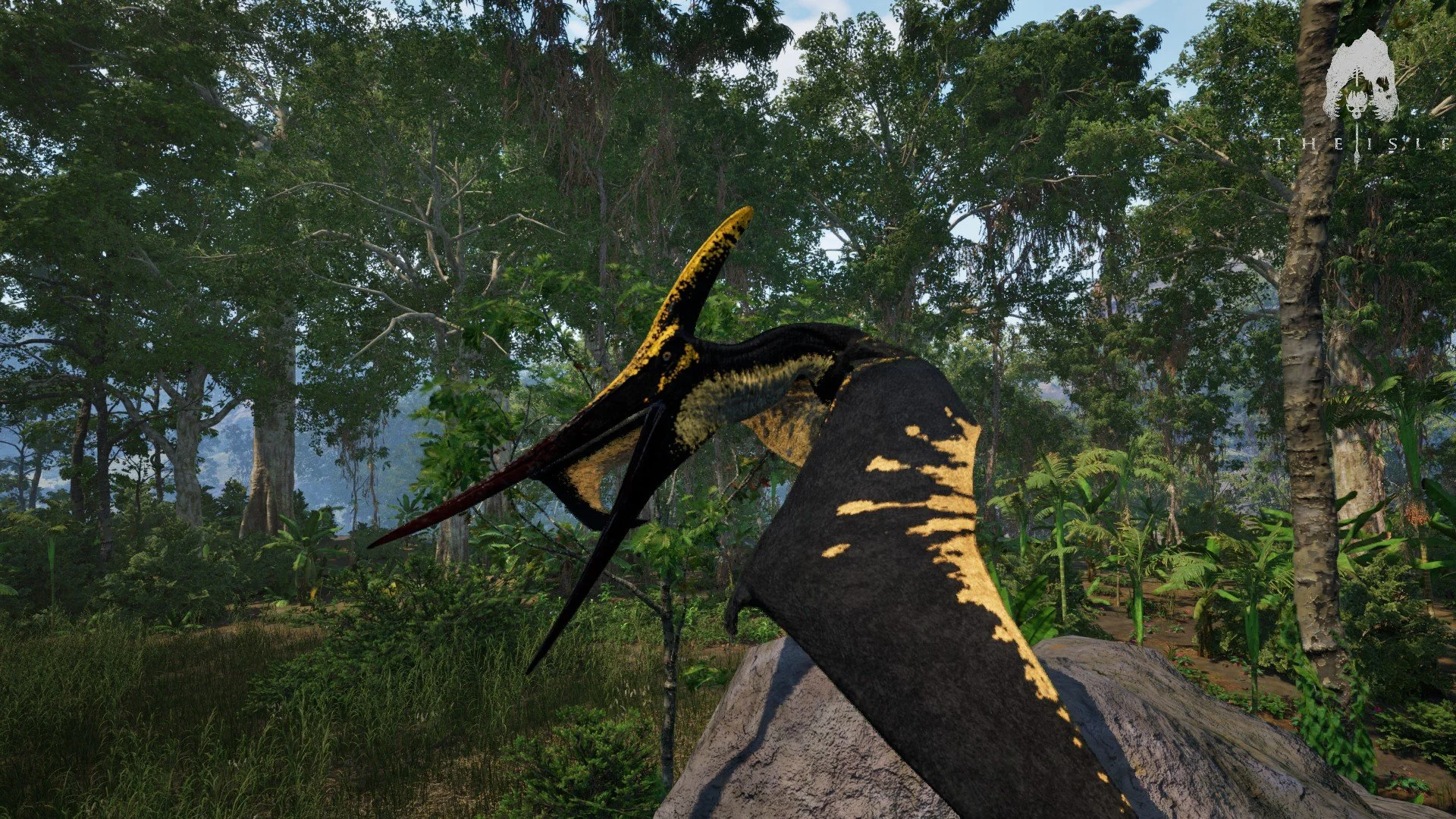 Règles simples, seulement 7 règles à suivre pour un jeu équilibré. Un plaisir sans stress