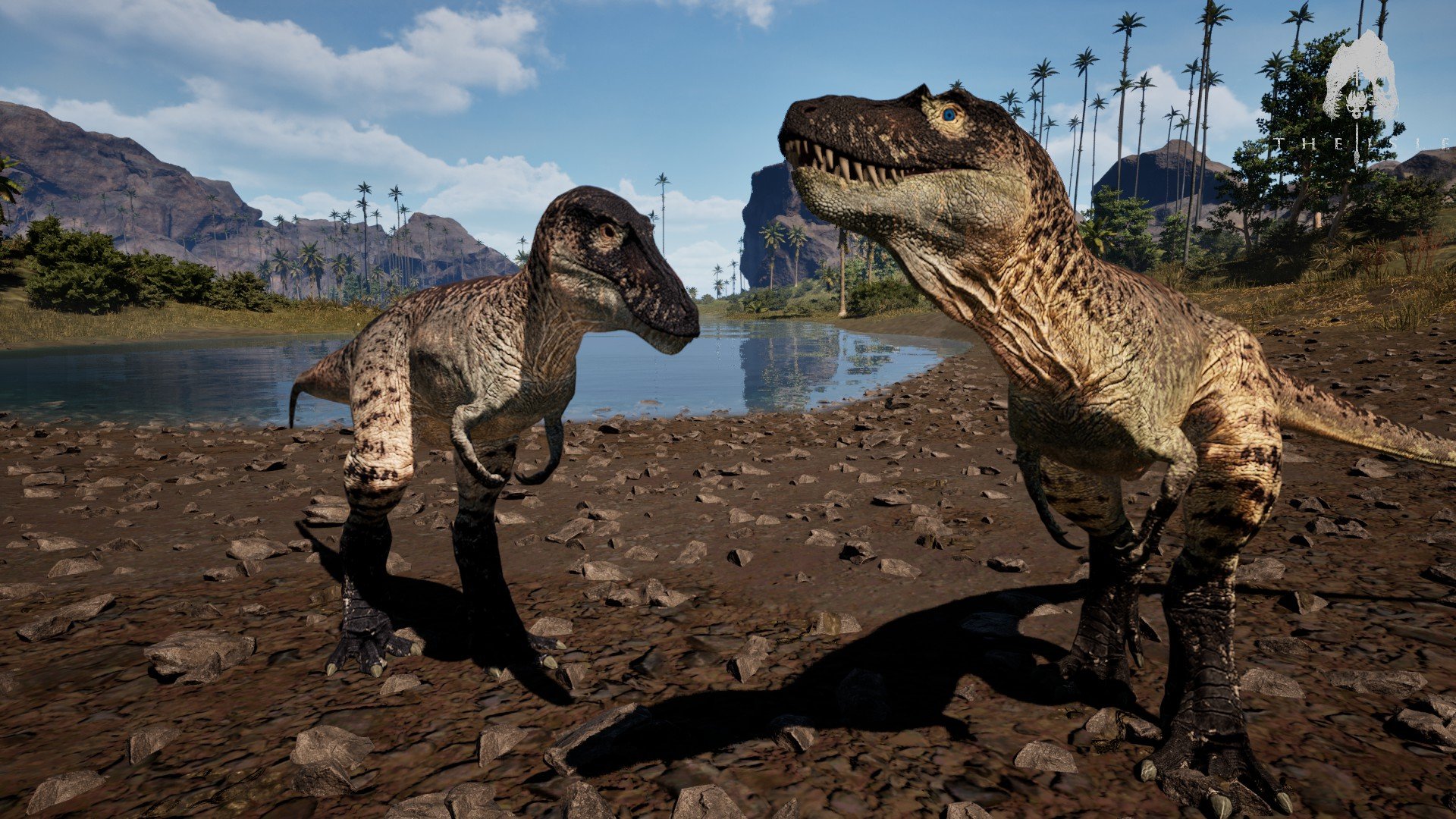 Statistique serveur en temps réel