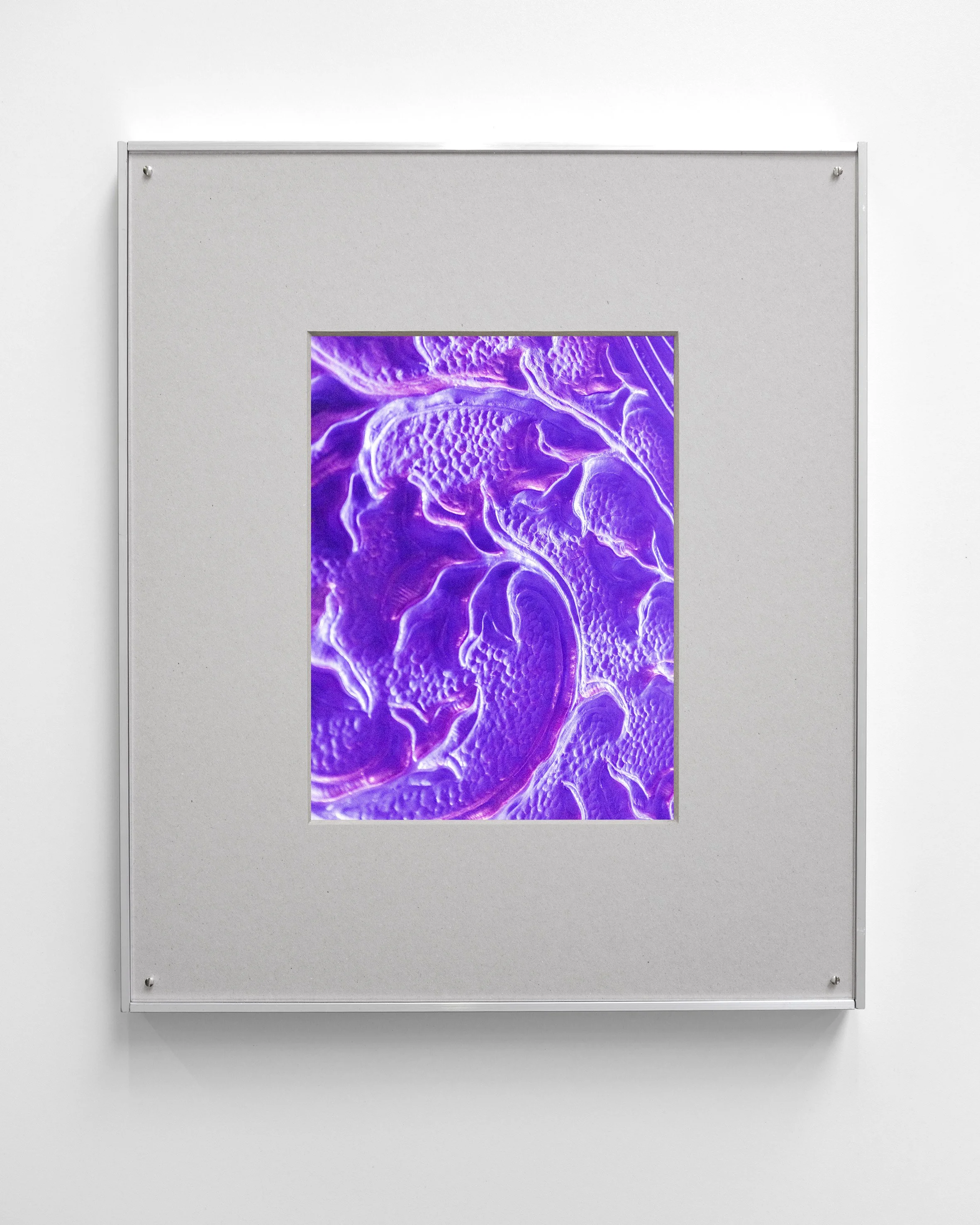 Inscription III, 2025
