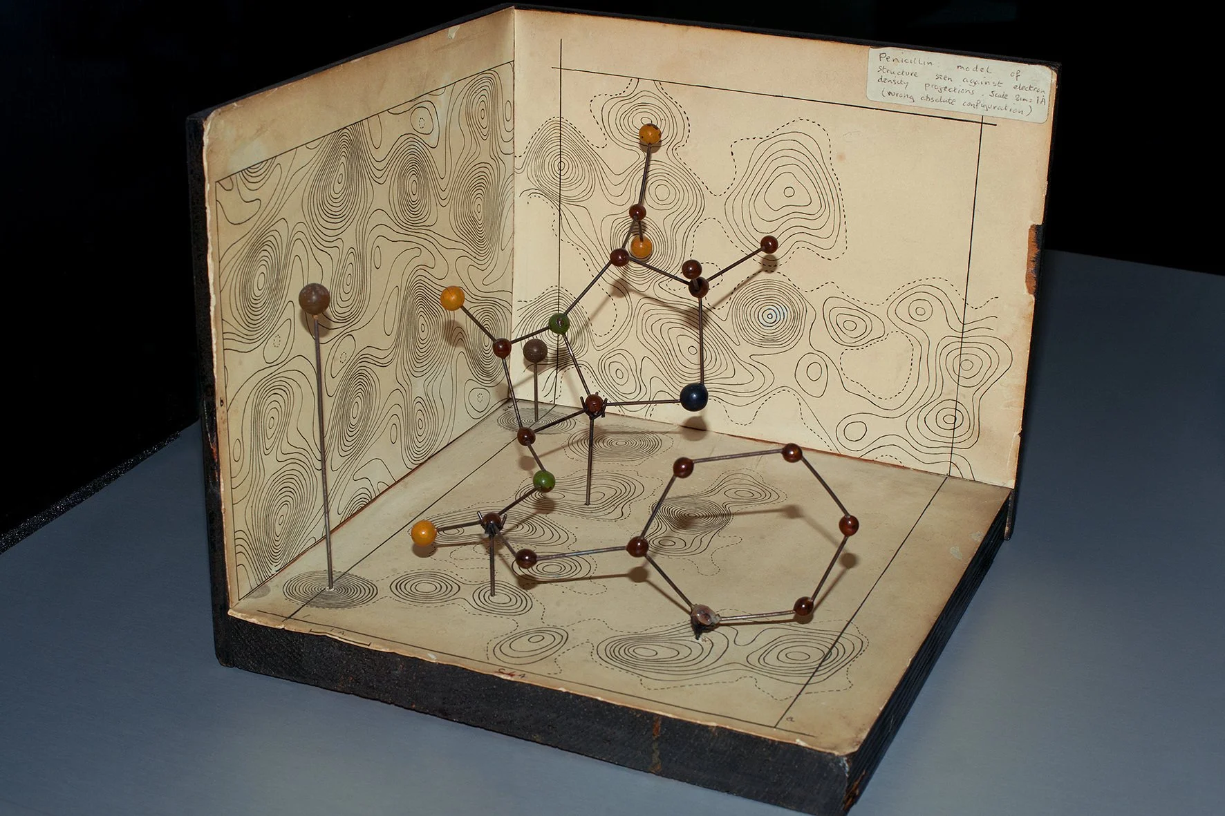 Penicillin, 2012