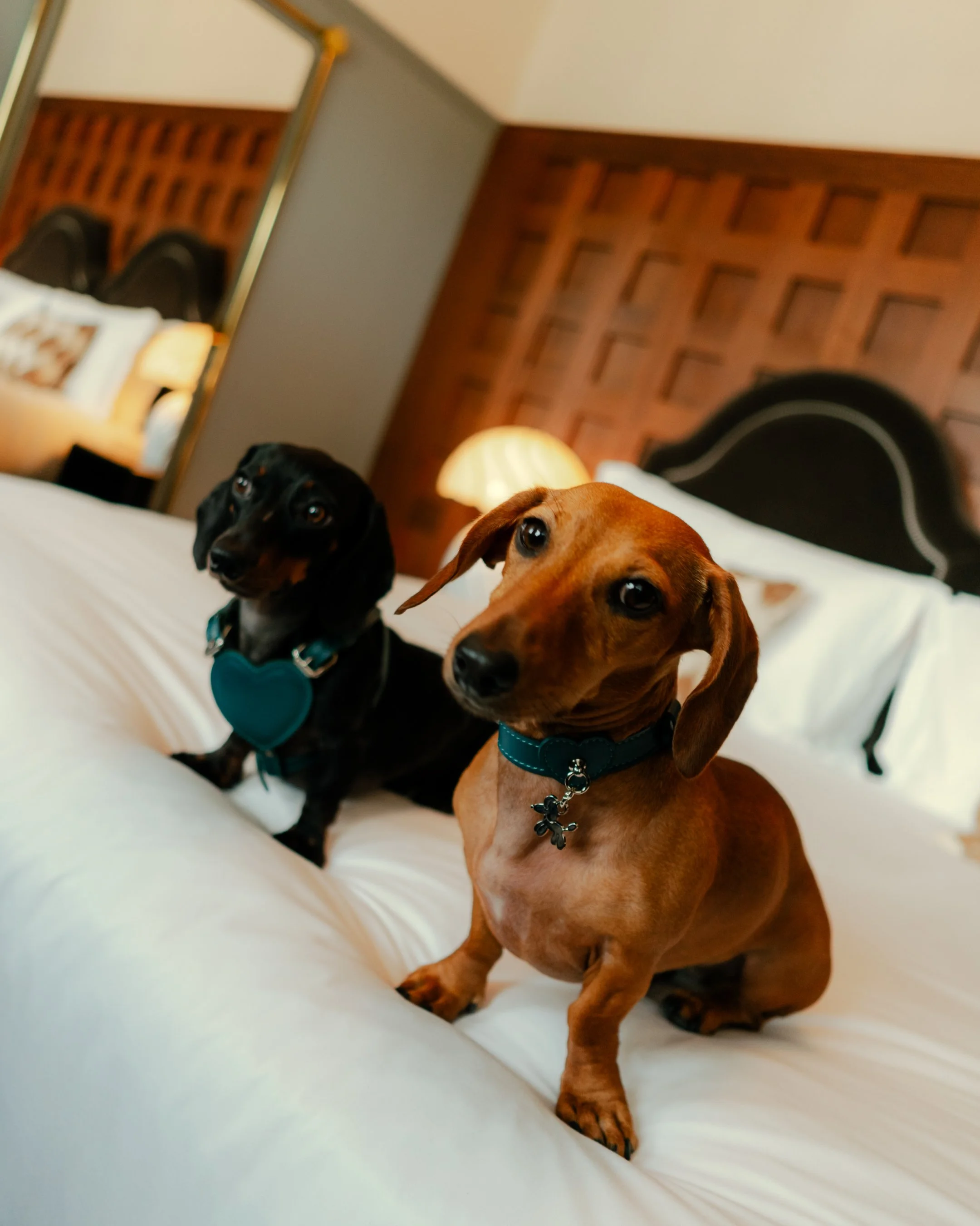 Copia di DSC02038.jpg