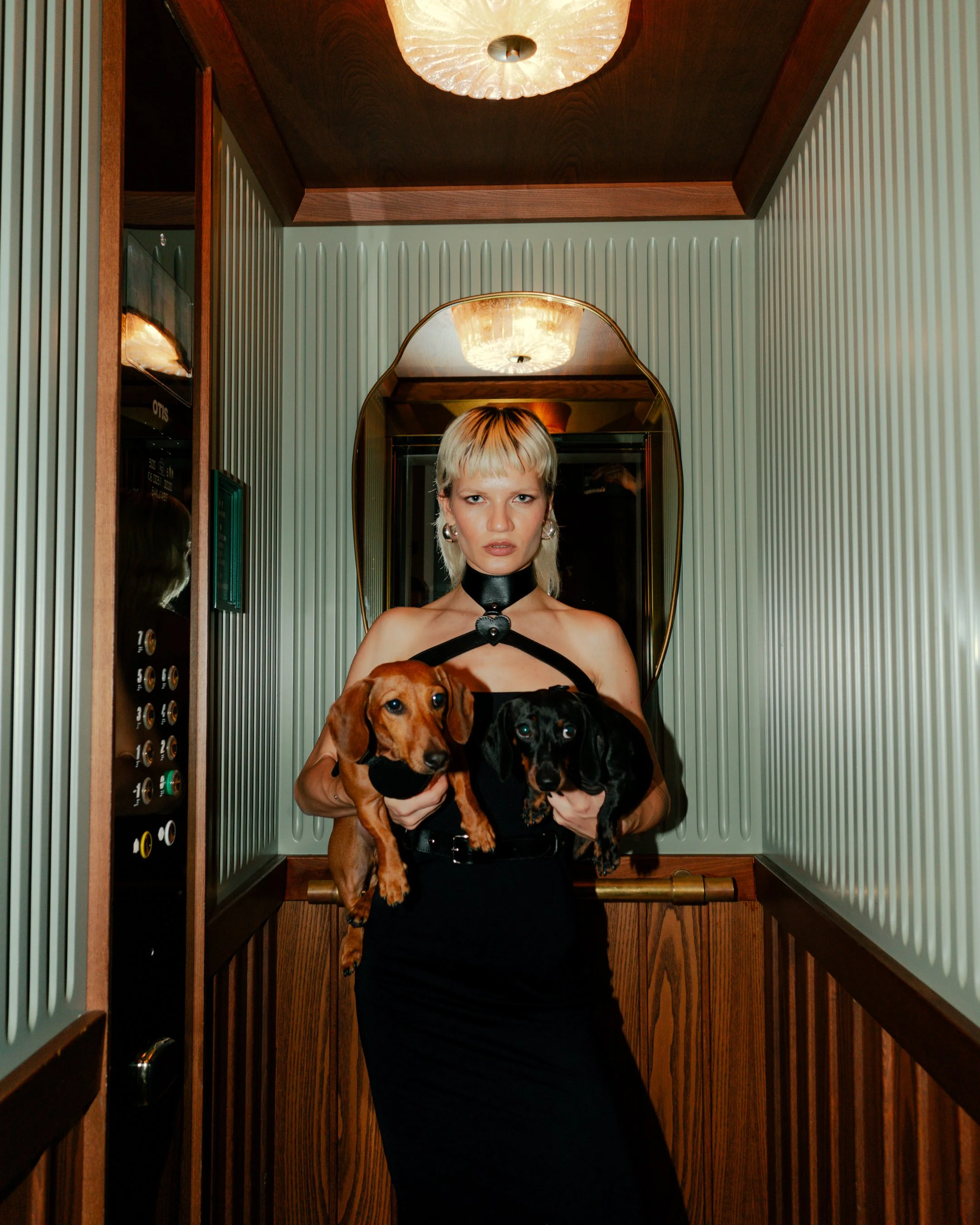 Copia di DSC02962.jpg