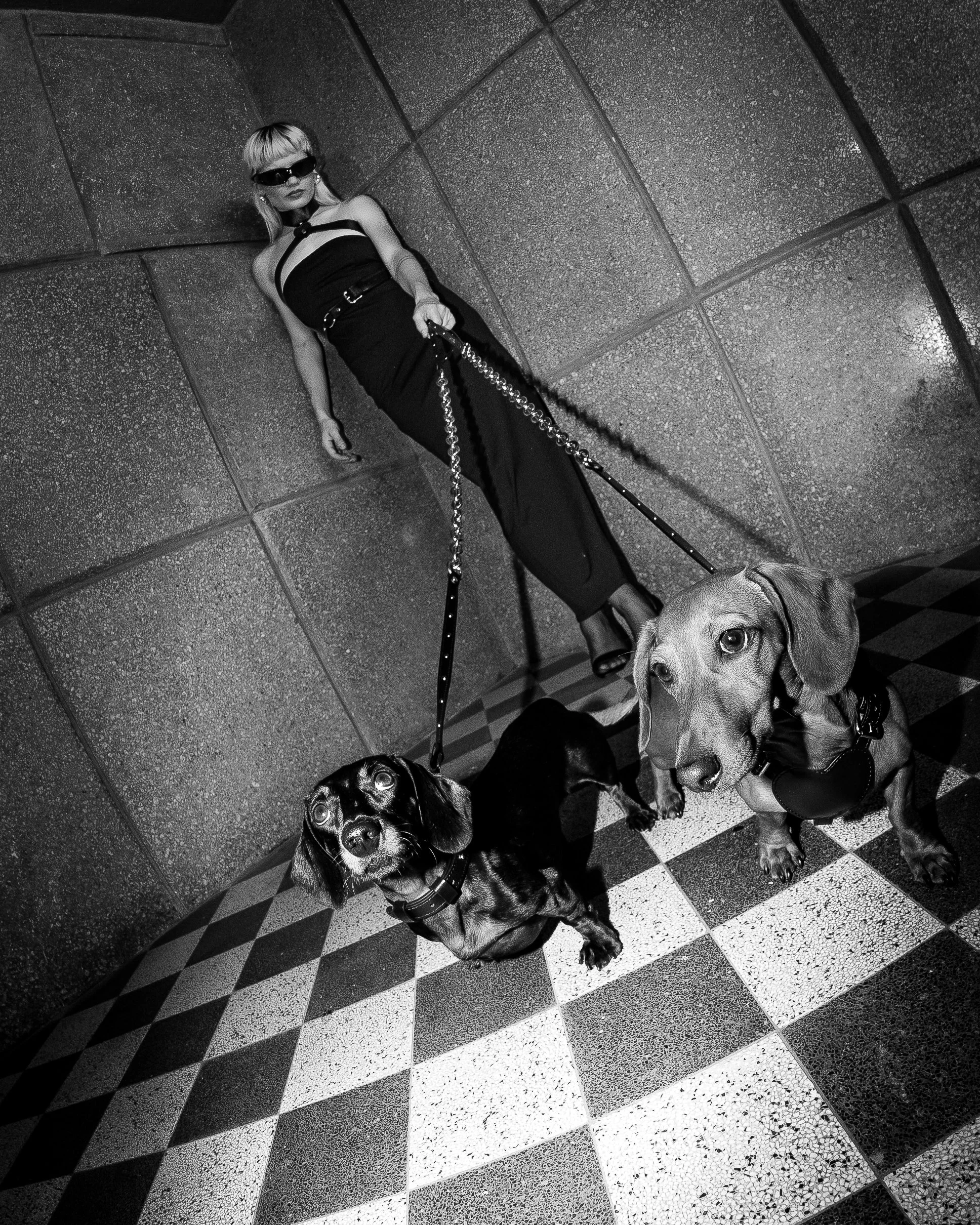 Copia di DSC02914.jpg