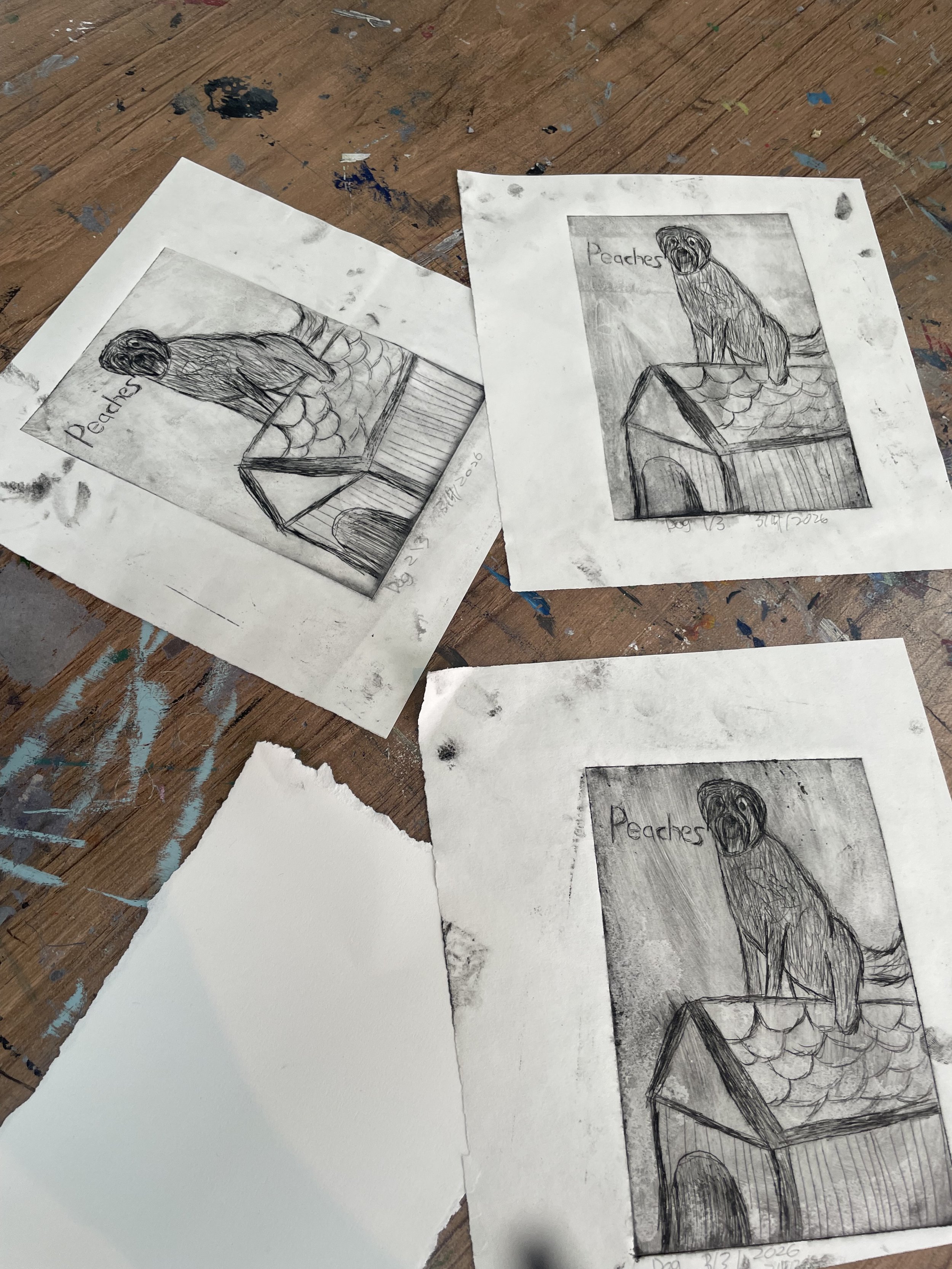 Prints of a Labradoodle Sitting on a Doghouse:

Self Explanatory