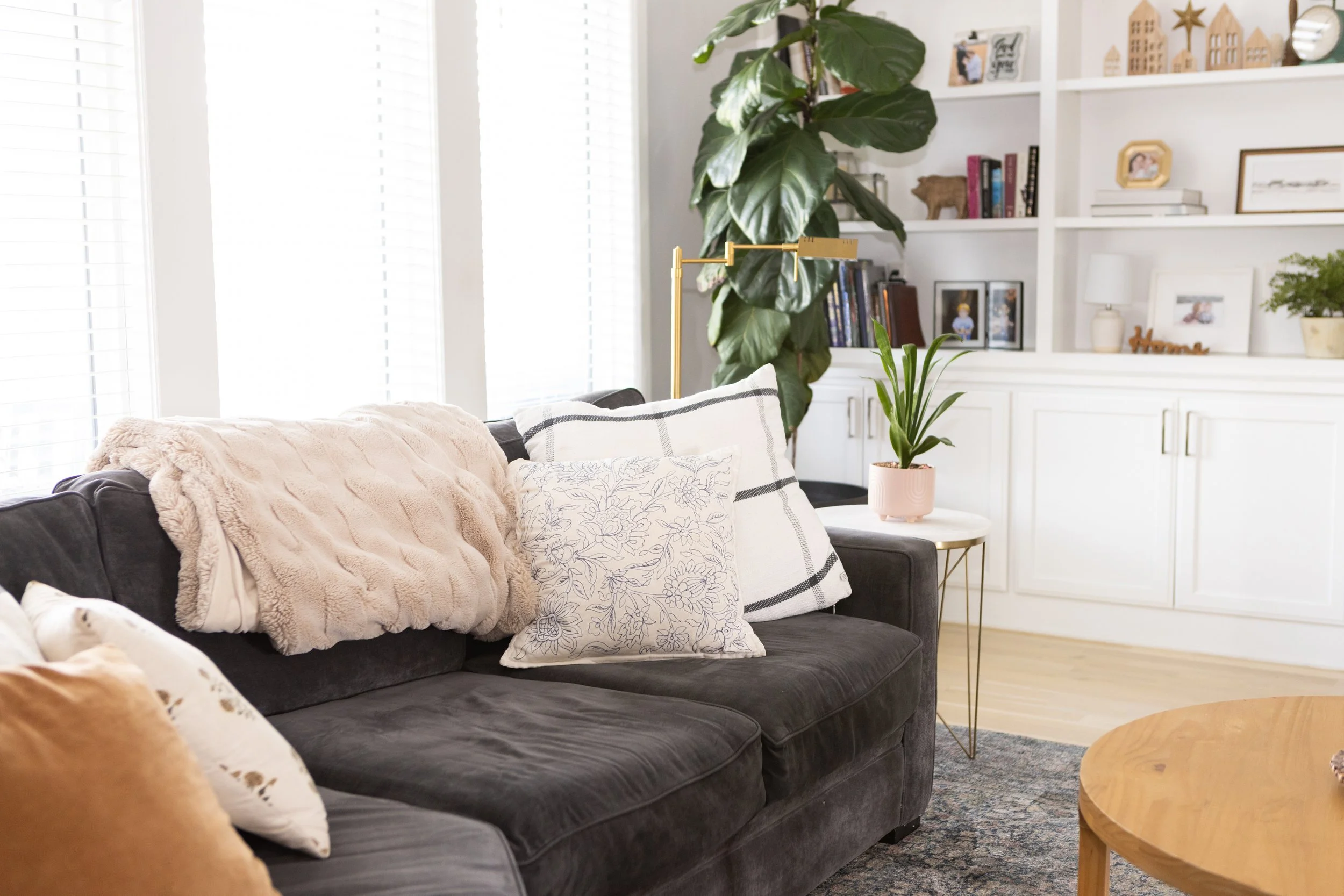 Living room with black sofa, pastel-colored pillows, a teakwood coffee table, a large green leafy plant, built-in white bookshelf with books and decorative items, and white window blinds.