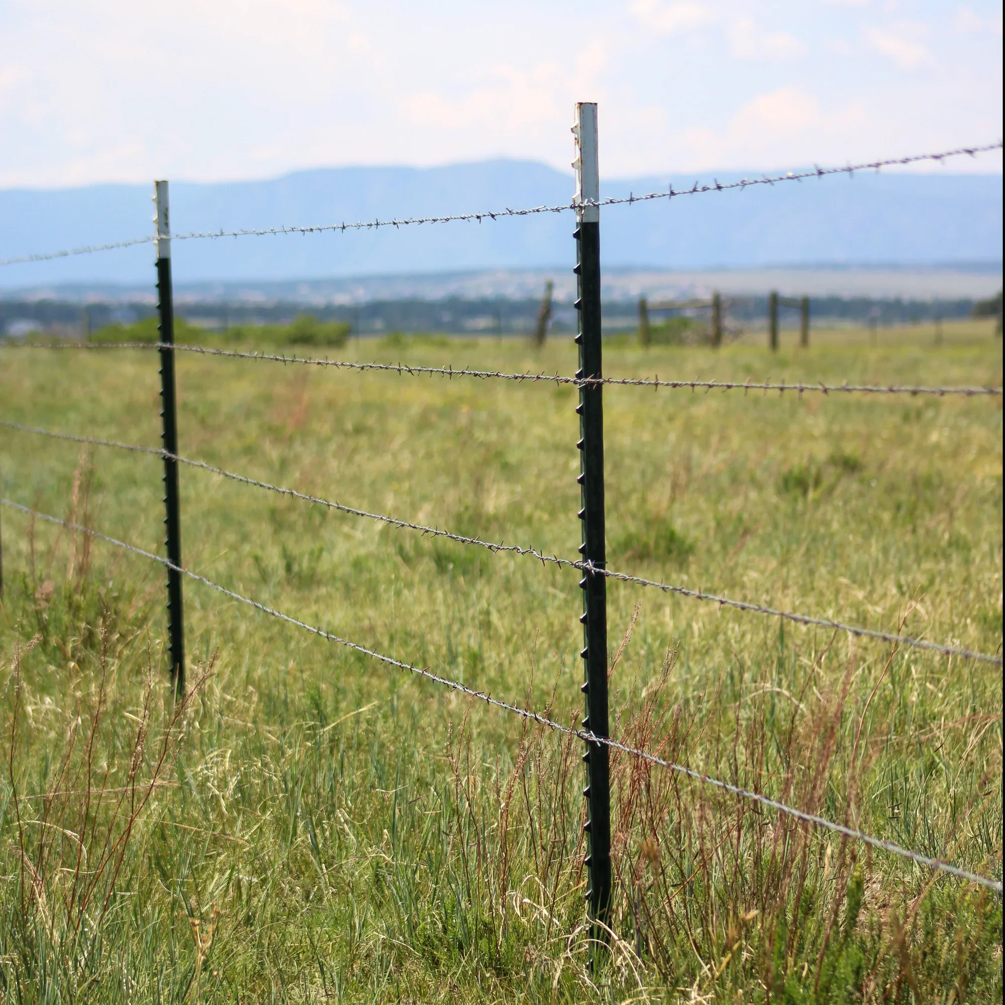 Barbed wire farm fence with green grassy field and mountains in the background under a partly cloudy sky.