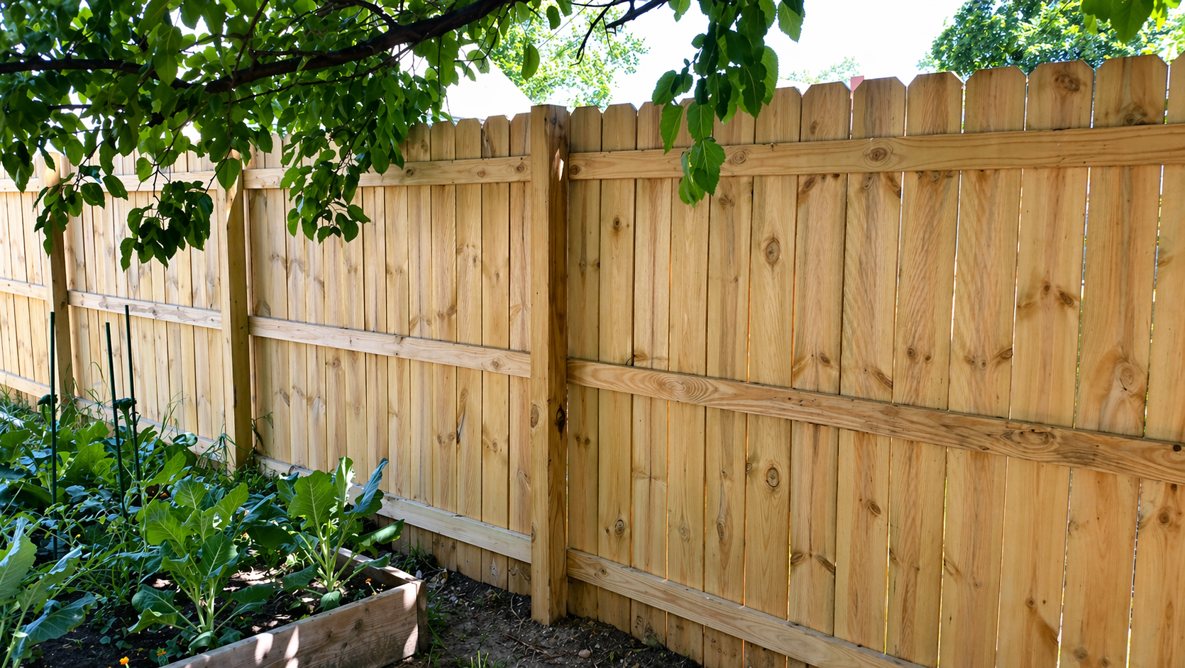 Wooden backyard fence with a garden bed containing green leafy plants in front.