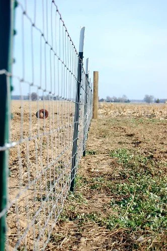 A wire field fence running through an open field with a blue sky in the background.