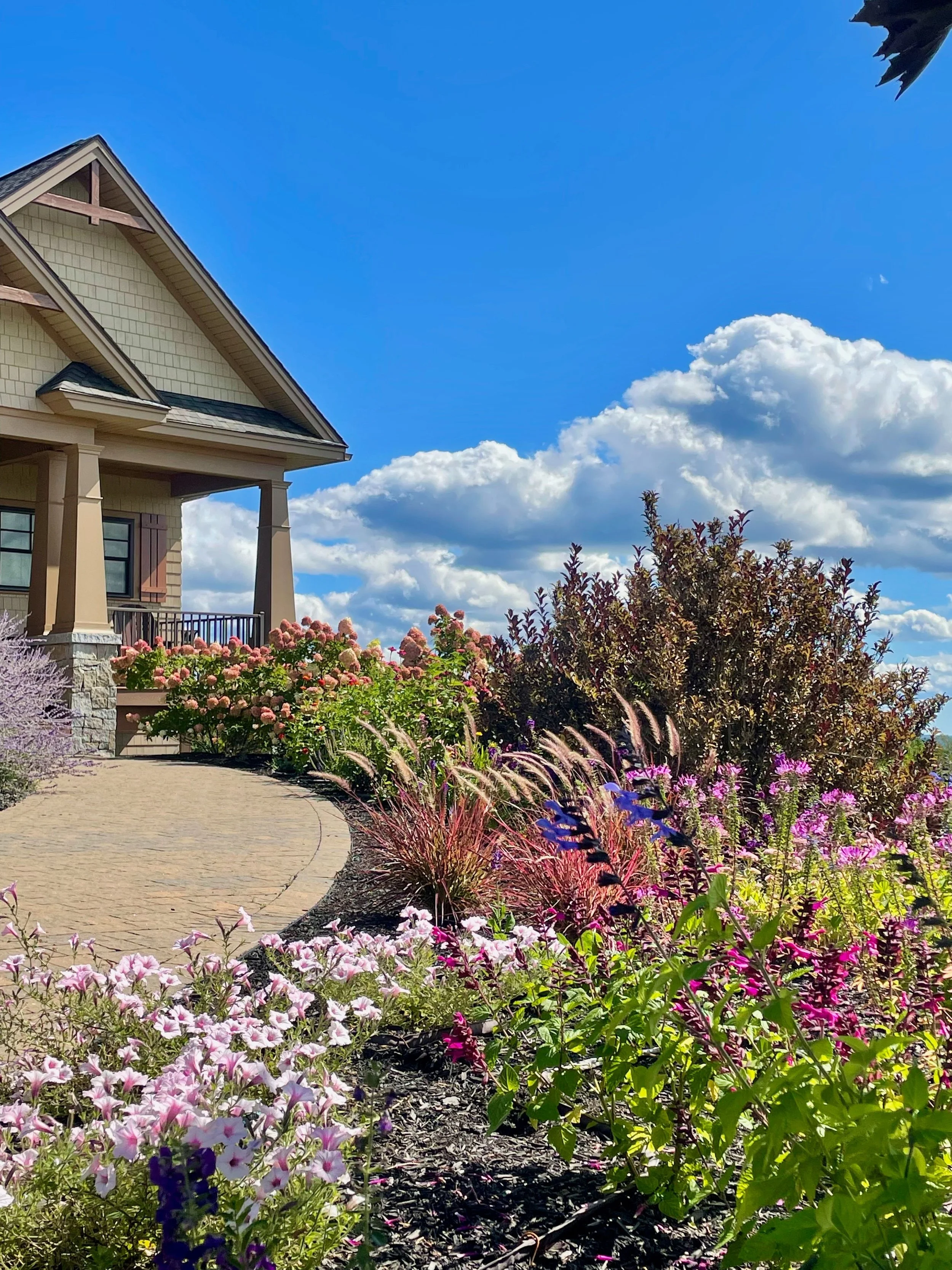A colorful garden with pink, purple, and white flowers in front of a house with beige siding, brown shutters, and a porch, under a bright blue sky with white clouds.
