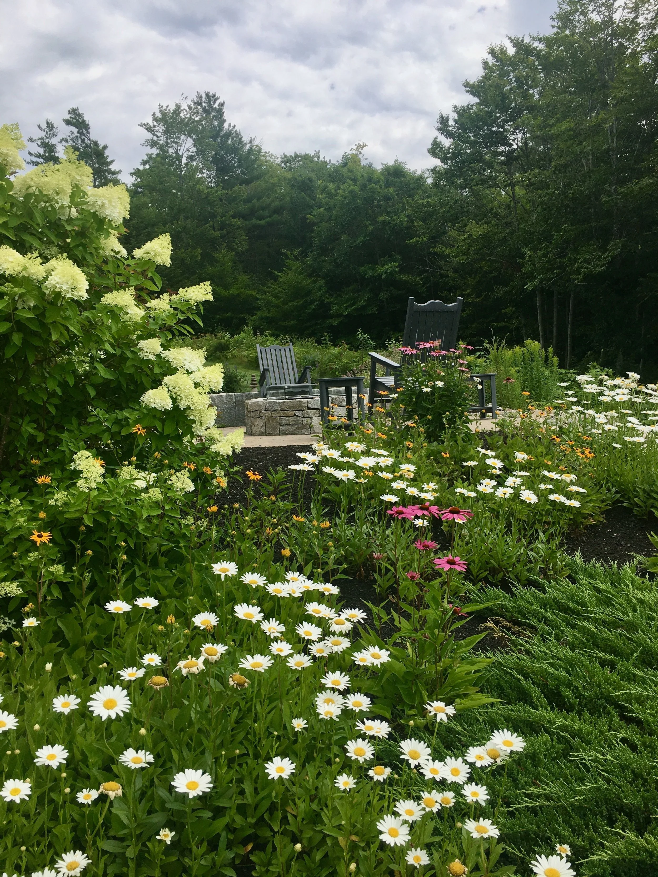 Garden with blooming flowers, including daisies and pink coneflowers, surrounded by lush green plants and trees under a cloudy sky.
