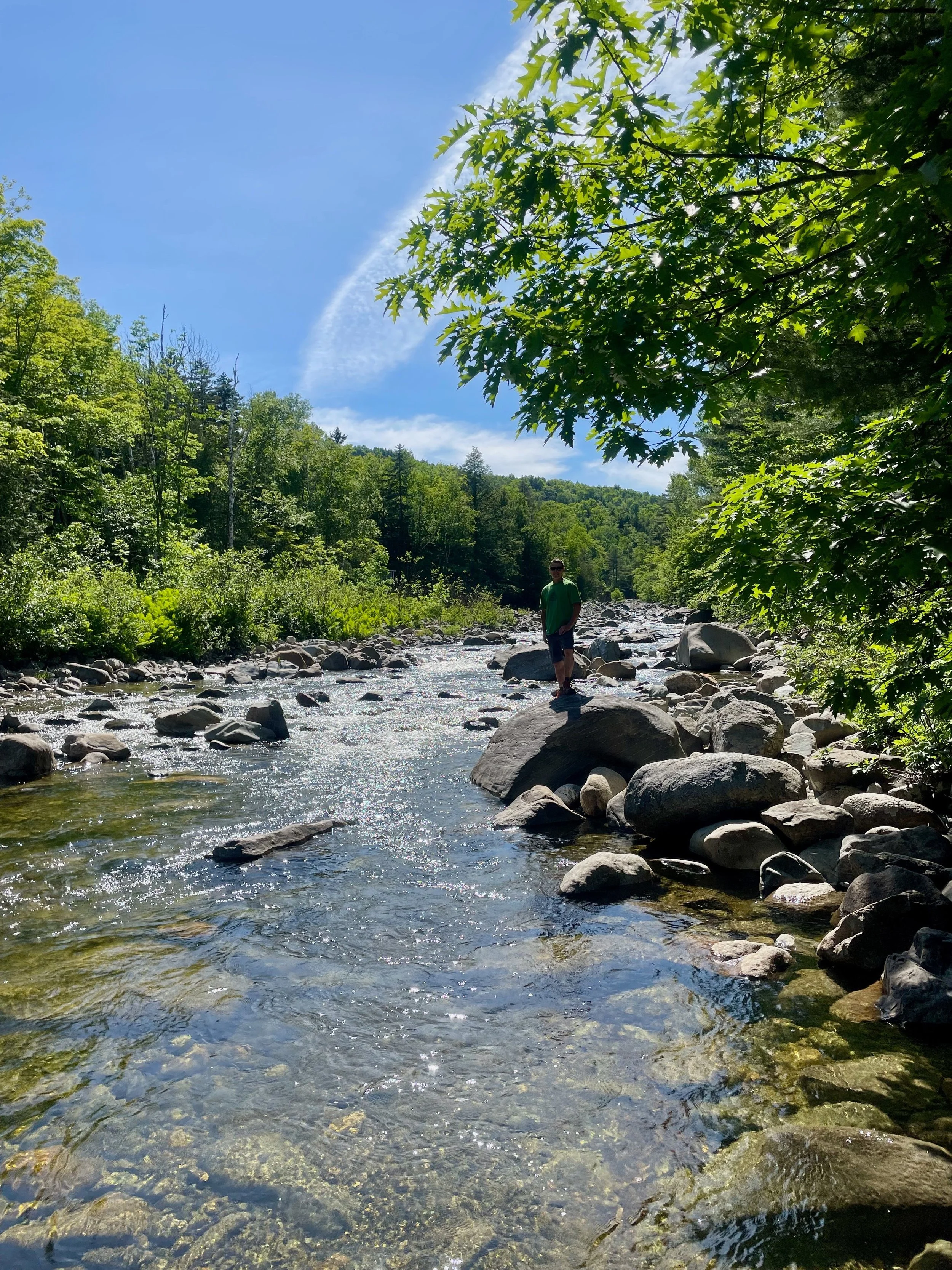 A person standing on rocks in a shallow river surrounded by green trees with blue sky above.