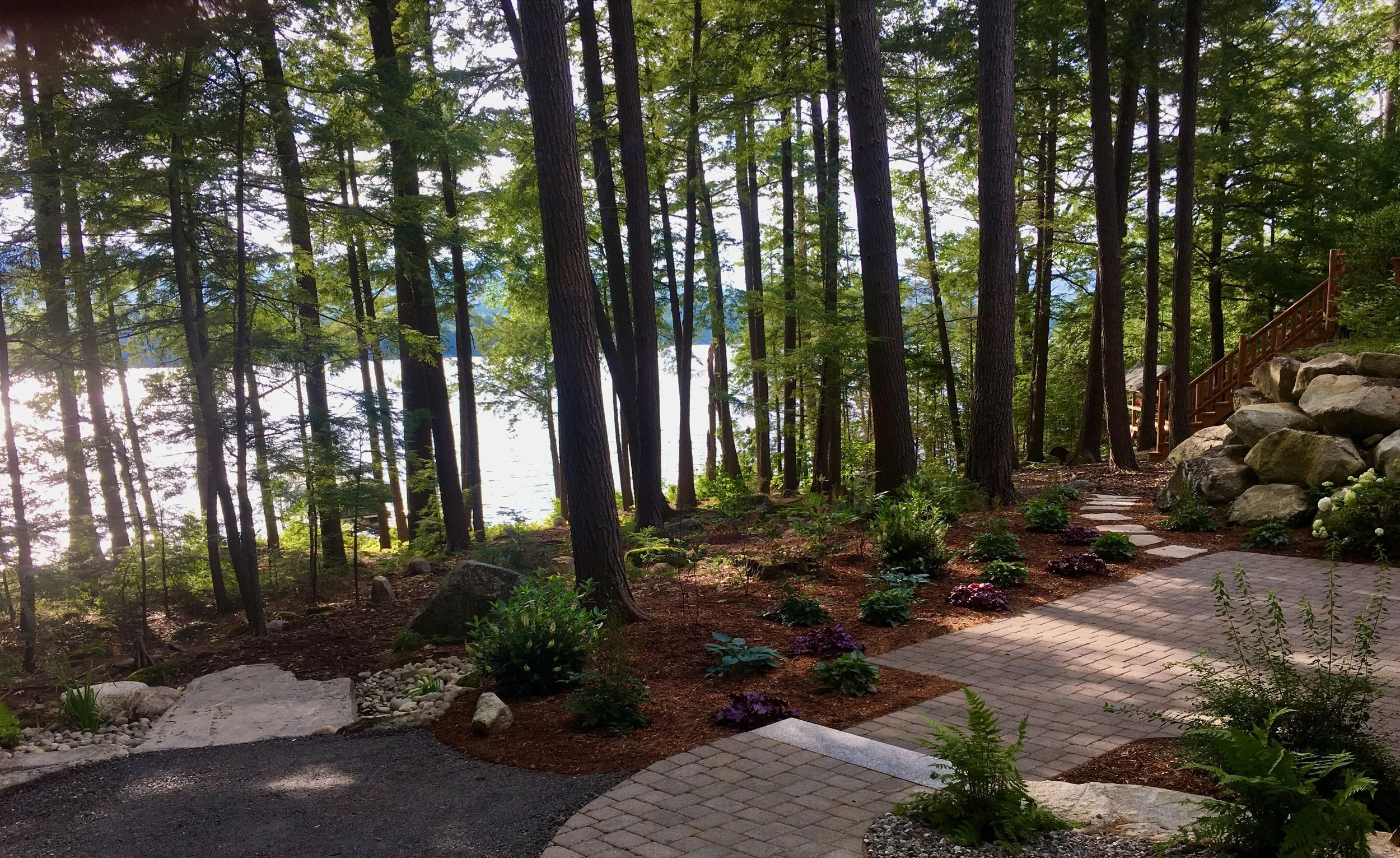 A wooded area with tall pine trees near a body of water in the background, a stone pathway with landscaped plants, and a wooden staircase on the right side.