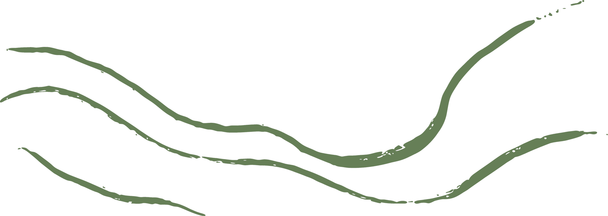Several green, wavy, thin lines or strands on a black background.