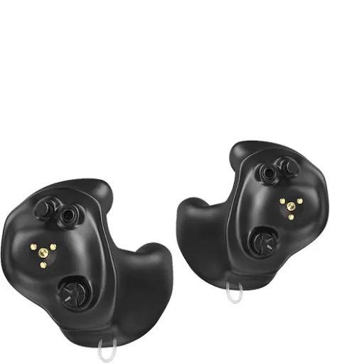 Hunting and Shooting Plugs