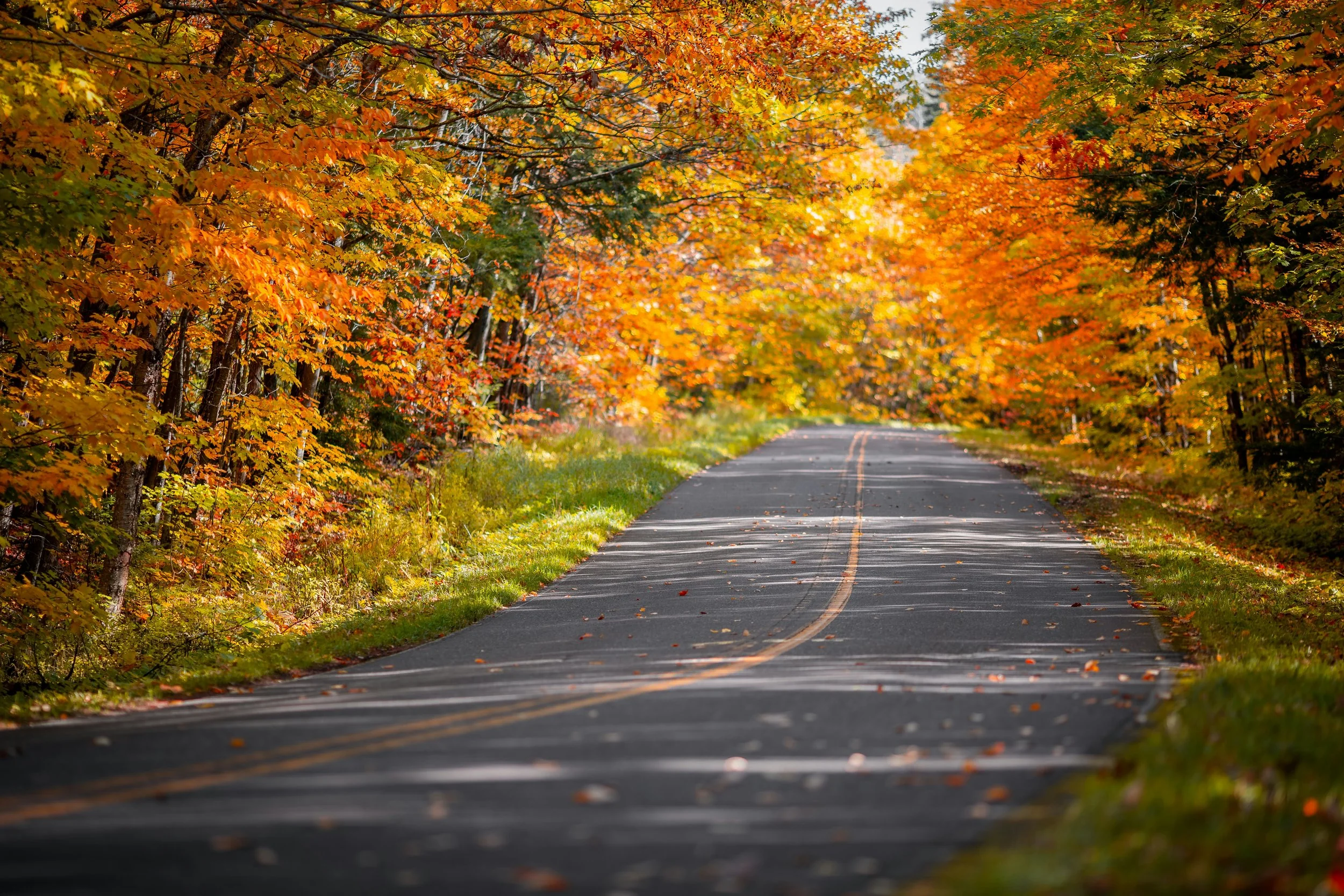 A winding asphalt road surrounded by vibrant autumn foliage with orange, yellow, and green leaves covering the trees.
