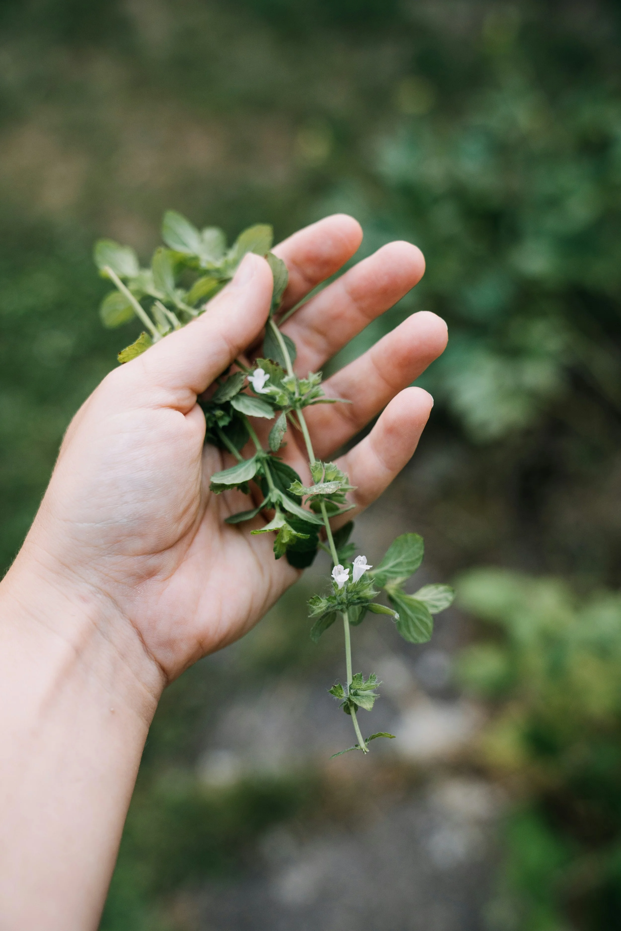 pascale-amez-2tnURUj7T7A-unsplash.jpg