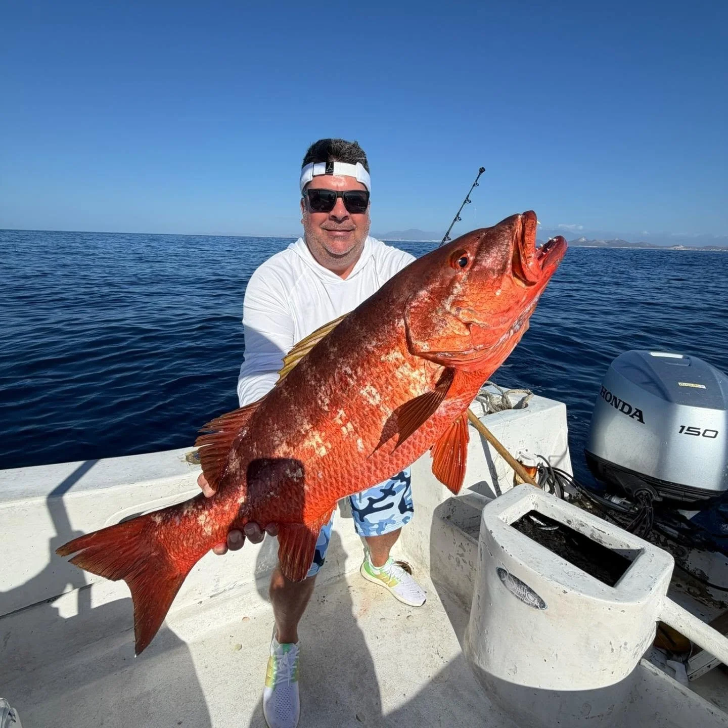 San Jos&eacute; del Cabo has some seriously underrated fishing, and these dogtooth snapper are proof of it. 🎣🌊&nbsp;

There&rsquo;s something about panga life that keeps things simple. No frills, no distractions, just you, your crew, and whatever i