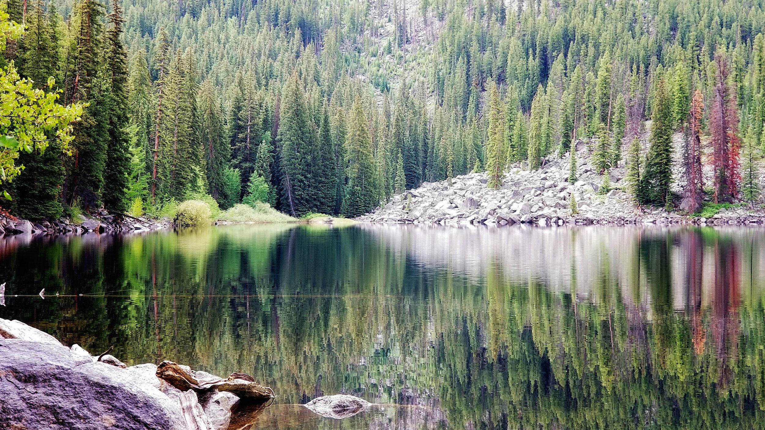 A peaceful mountain lake surrounded by dense evergreen trees with reflections in the water, rocks along the shoreline, and a mountain slope in the background.