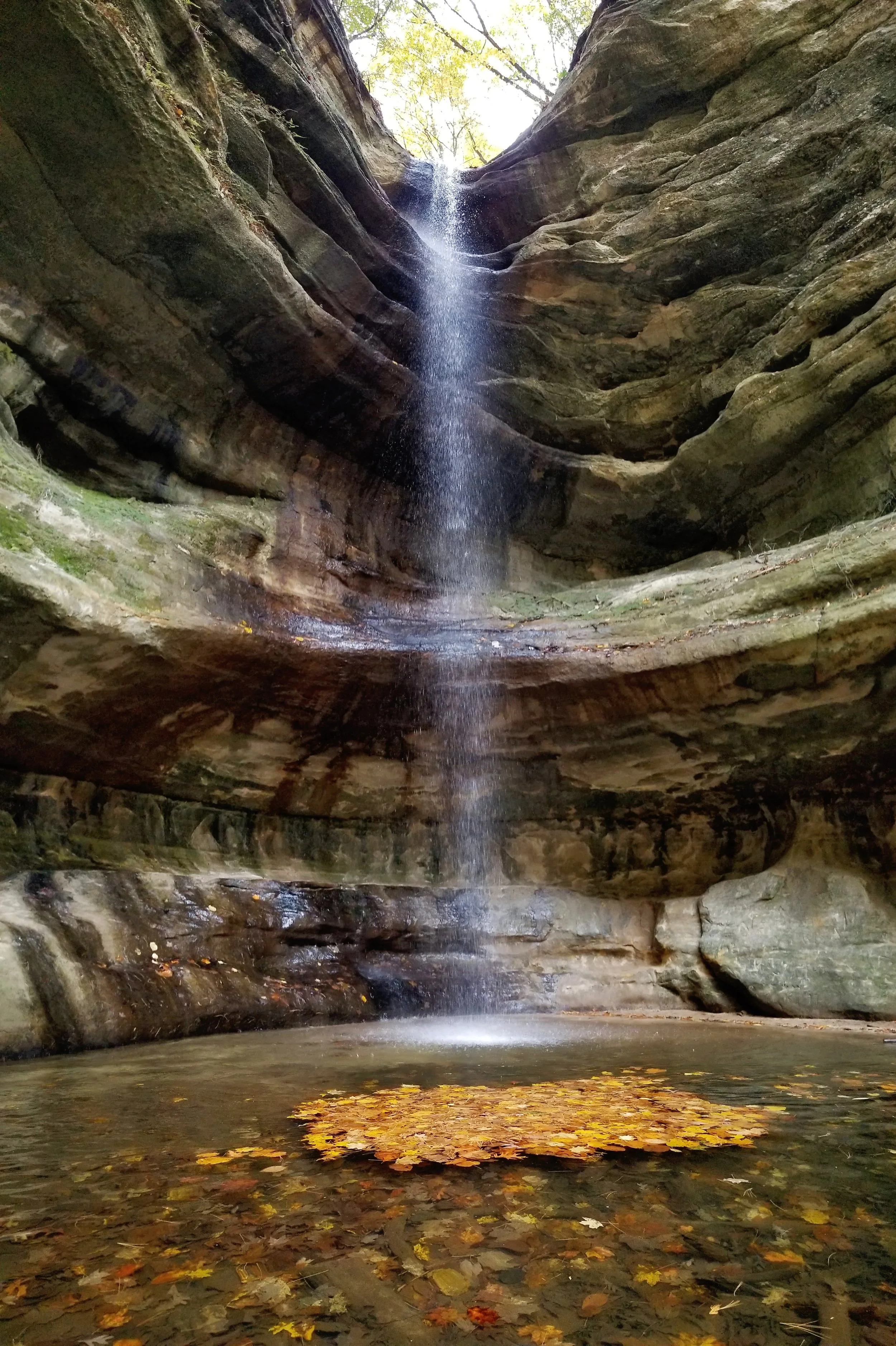 A small waterfall flowing down a rocky canyon with a shallow pool at the bottom covered in fallen autumn leaves.