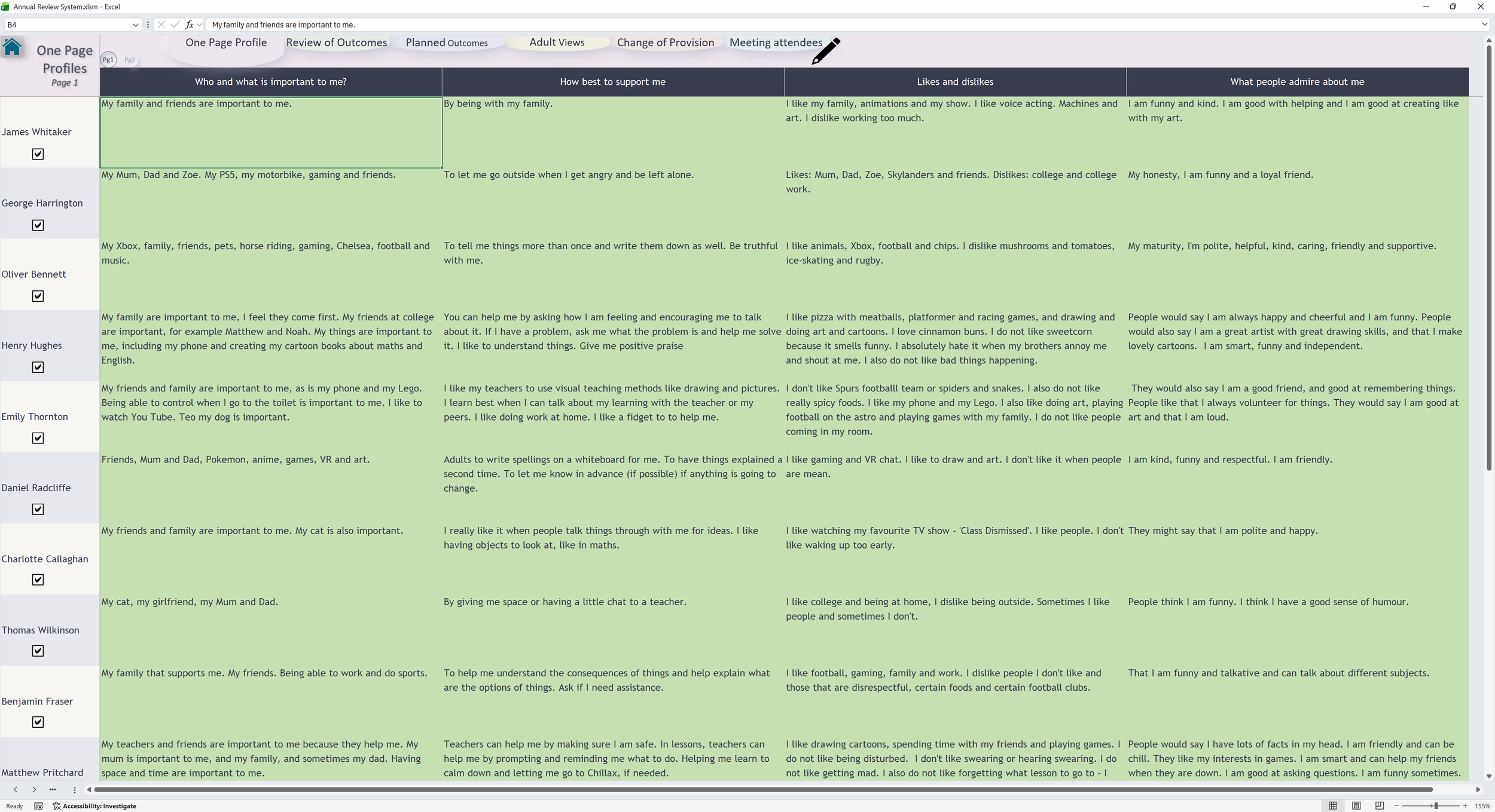 Annual Review One Page Profile screenshot
