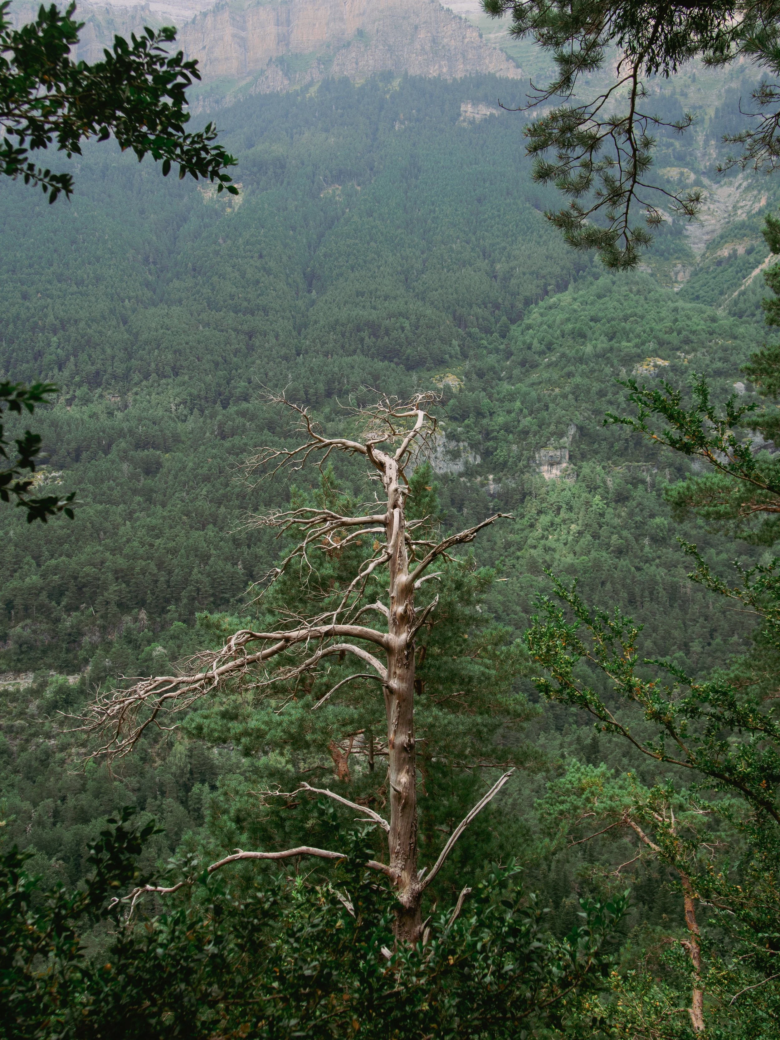 P1019652.jpg