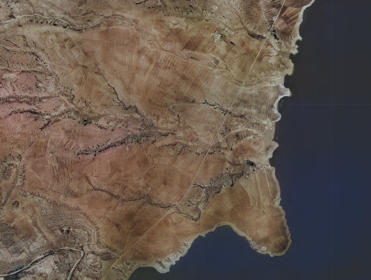 Cabo Roig, Orihuela, 1956.jpg