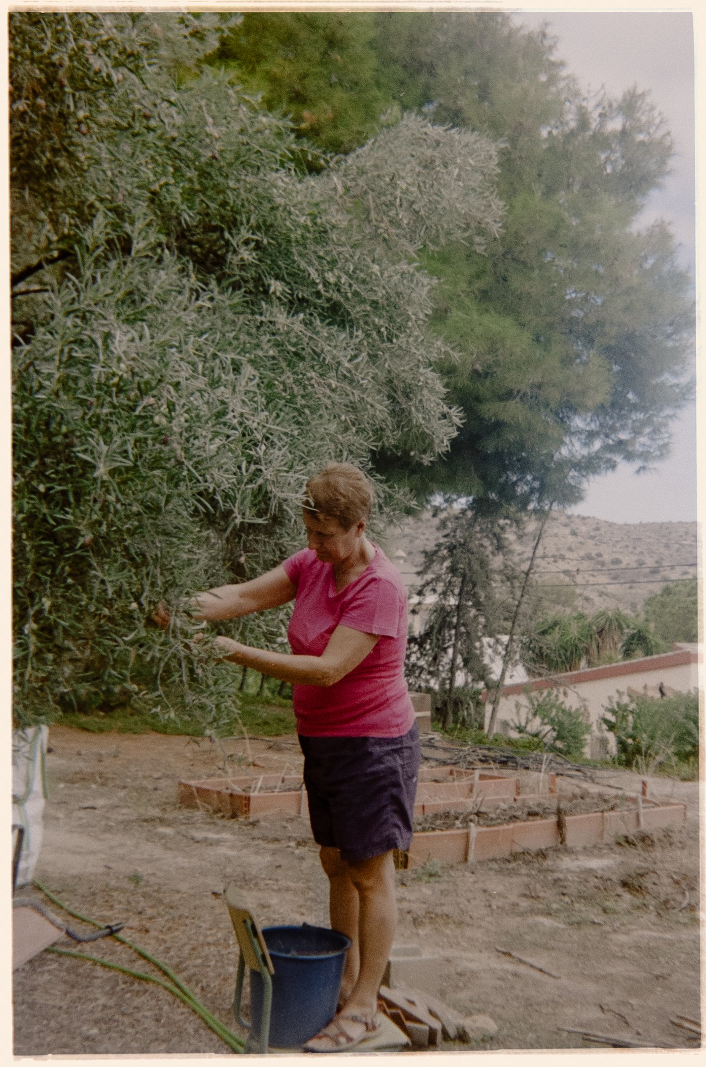 Carrete Kodak Antonio.Febrero 2026-26.jpg