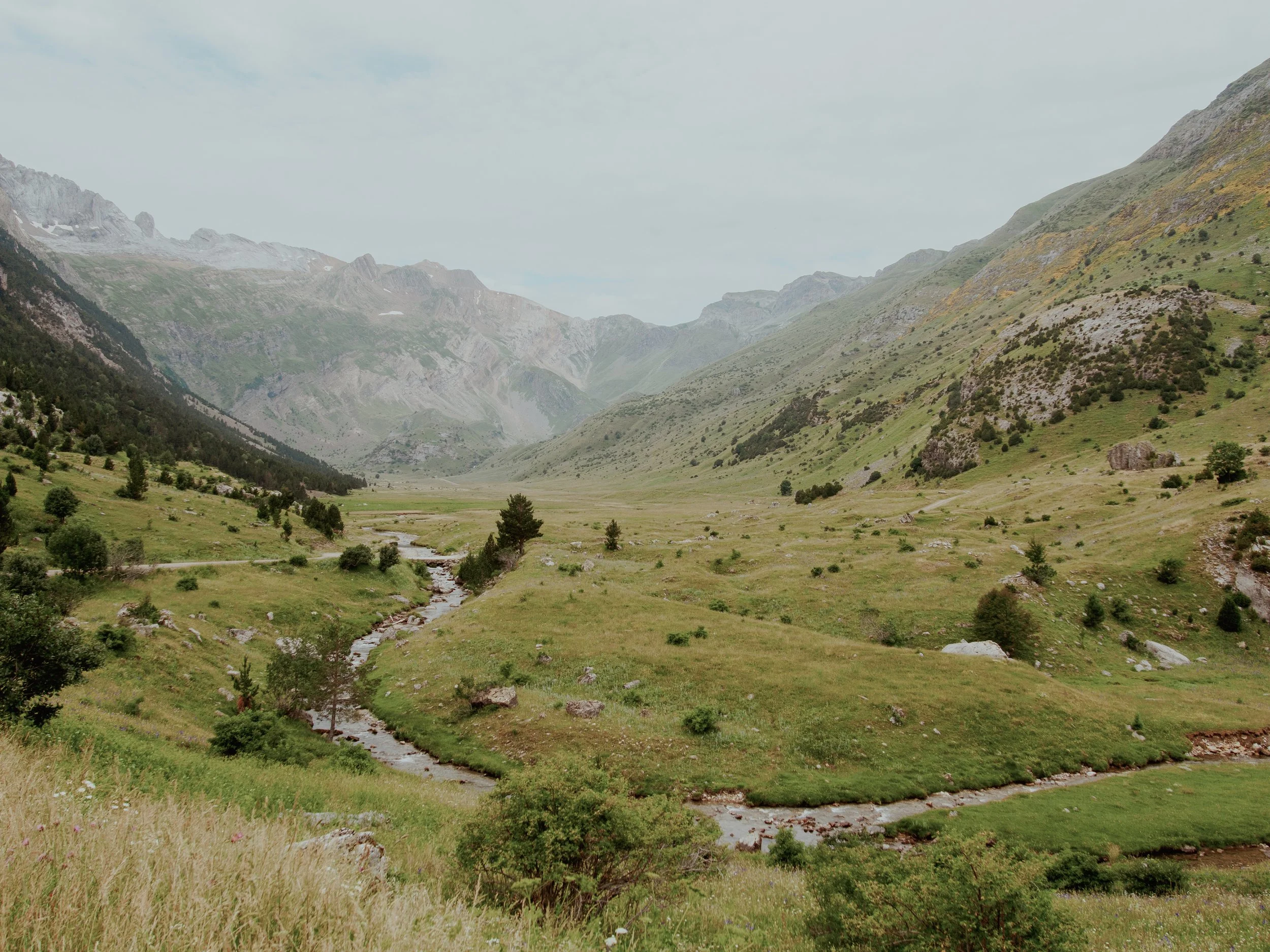 Pirineos 45x33.jpg